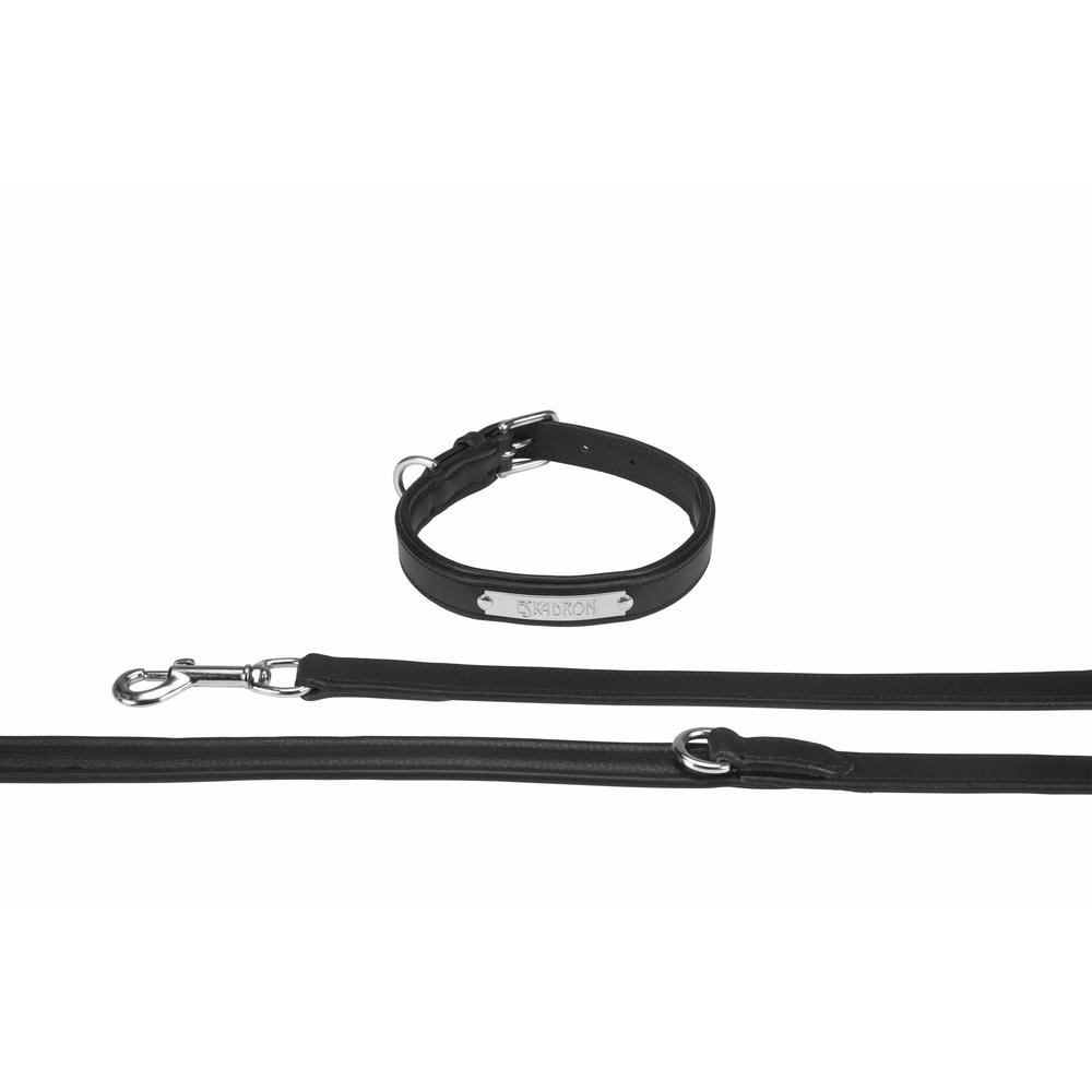 Guinzaglio per cane con collare Eskadron