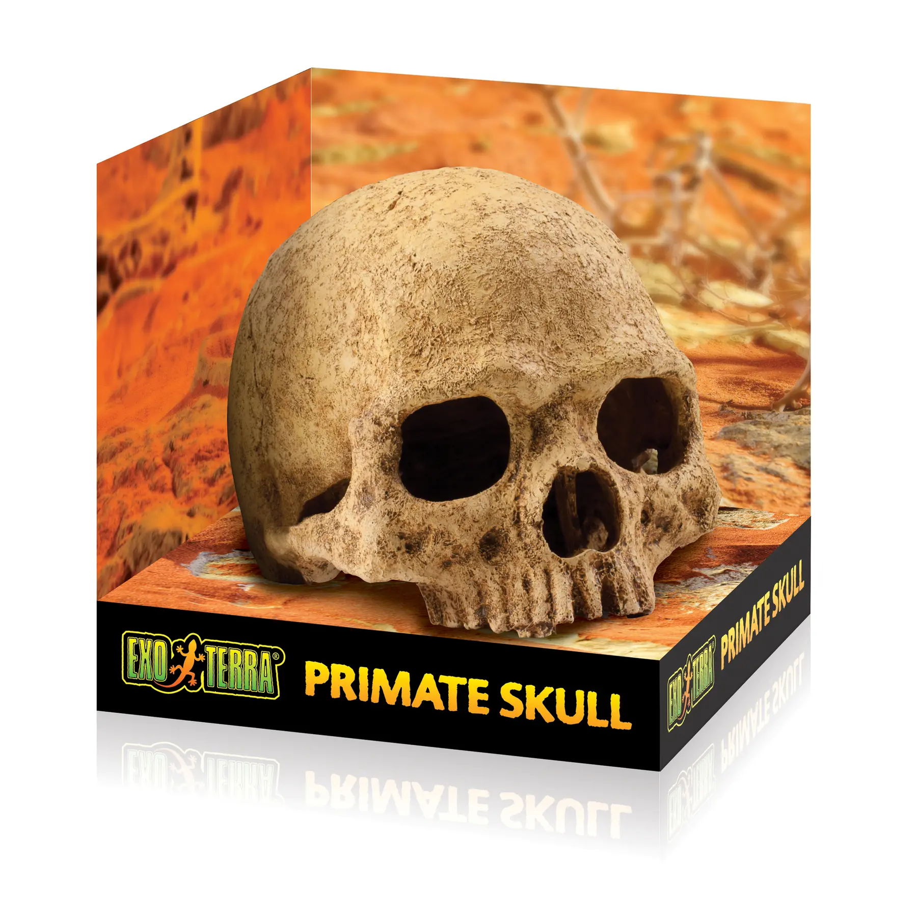 Meilleurs prix pour Kit de décoration crâne primate Exo Terra