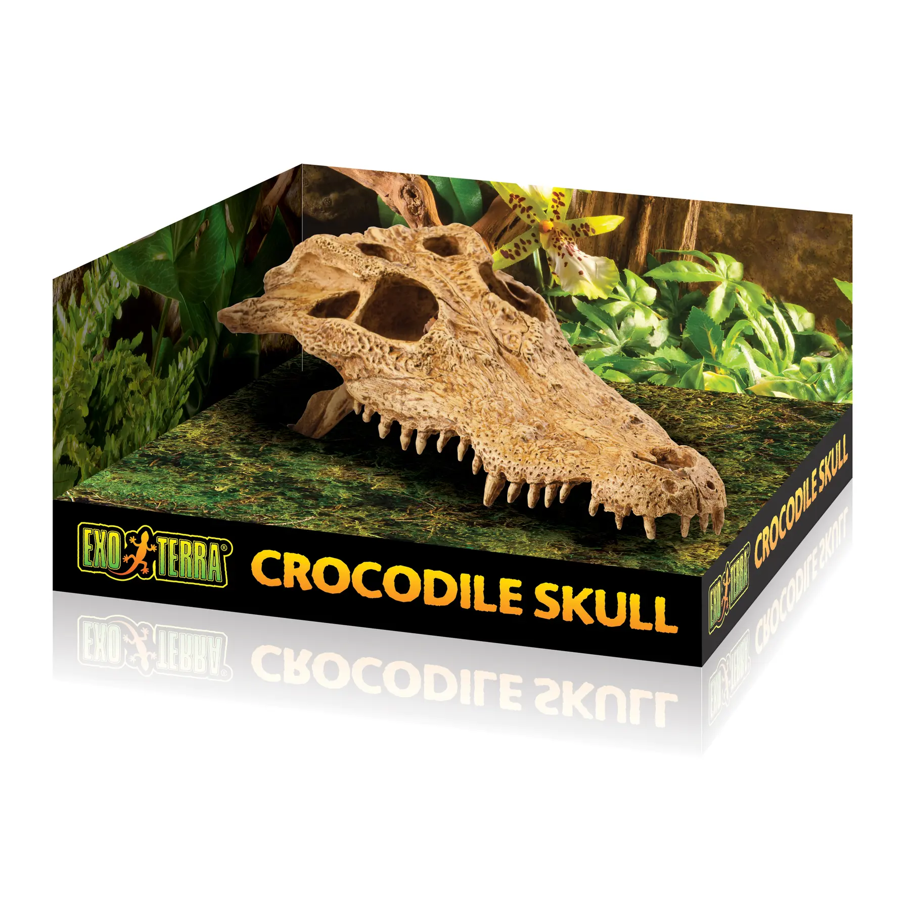 Kit de décoration crâne crocodile Exo Terra