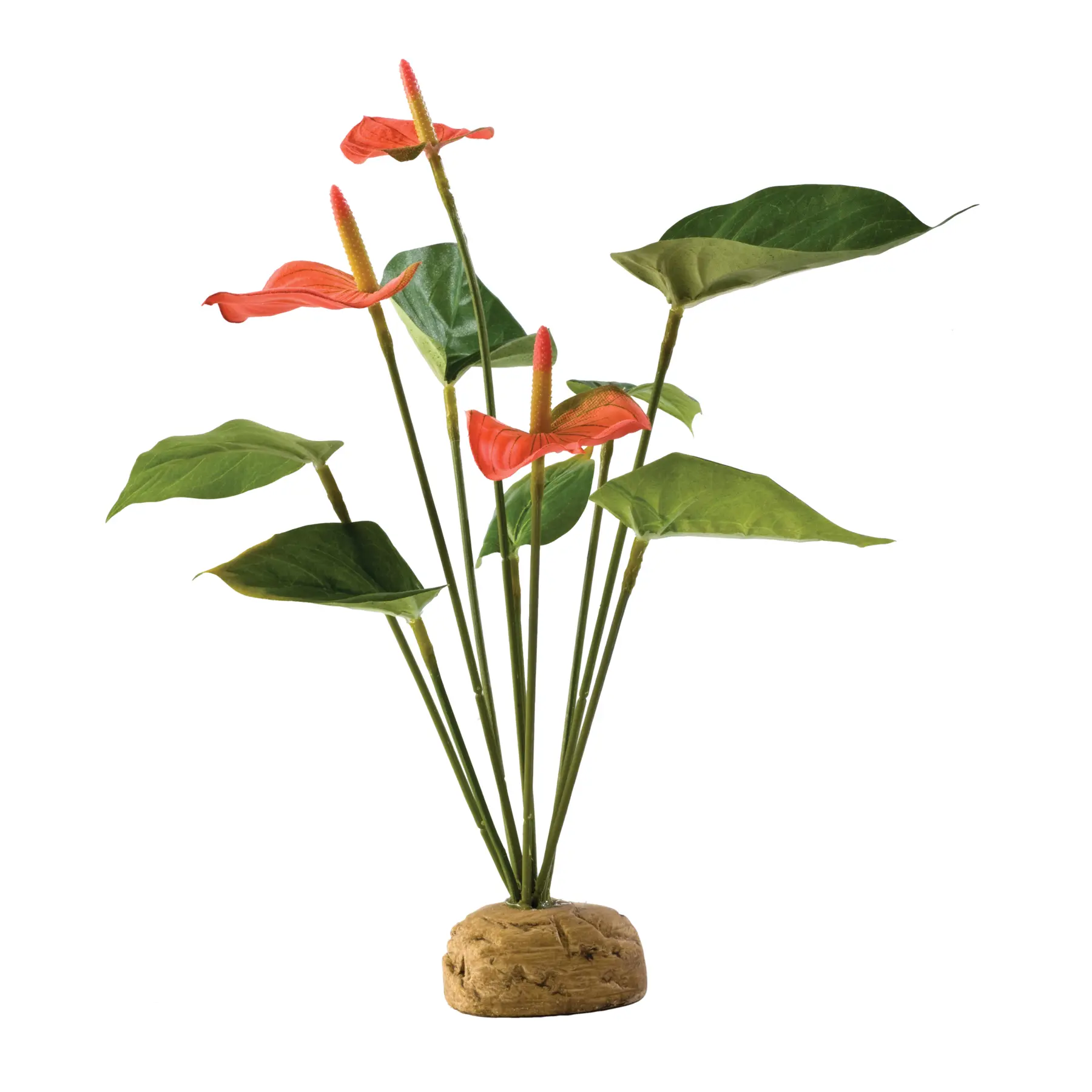 Kit de décoration anthurium Exo Terra