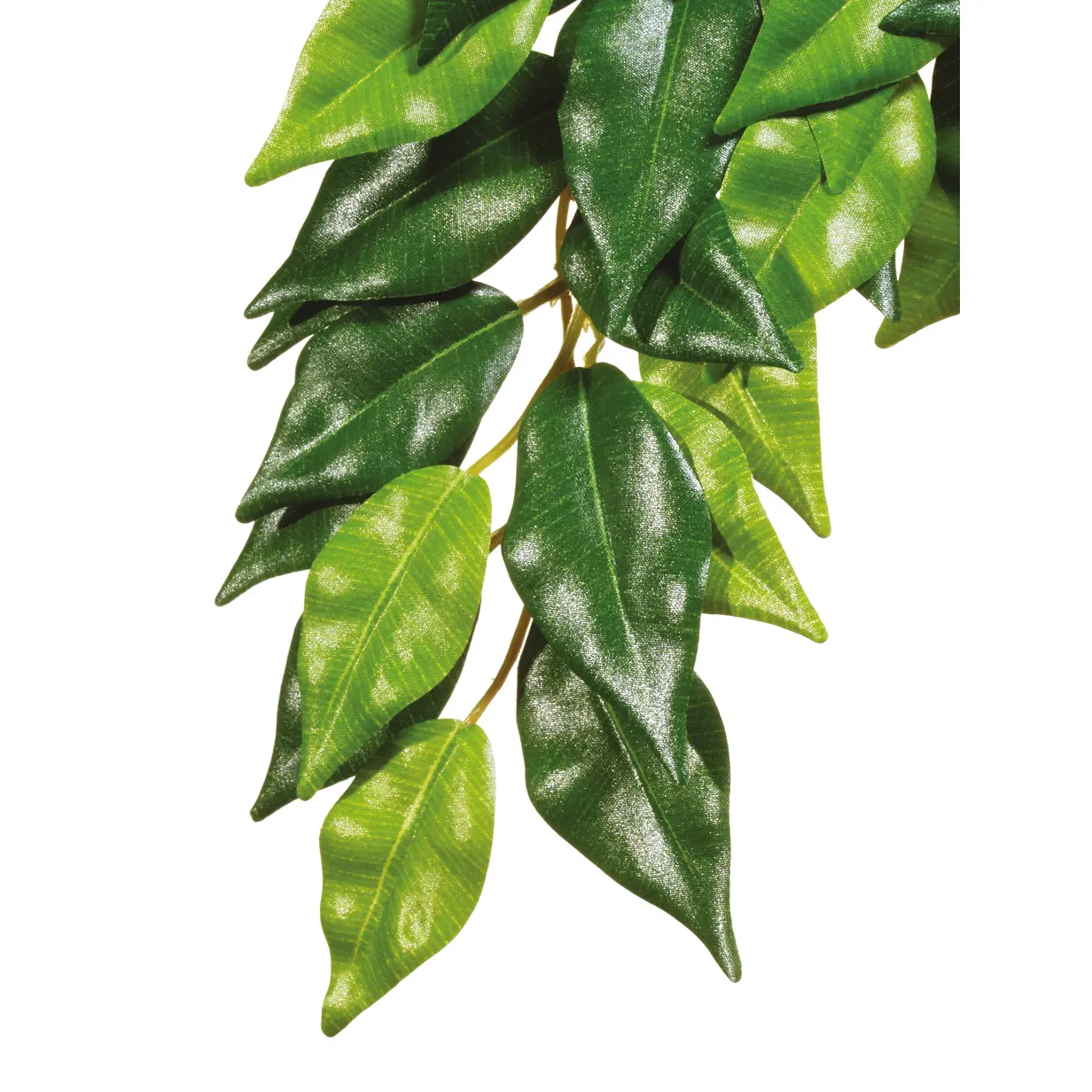 Comparer les prix de Kit de décoration ficus plante Exo Terra