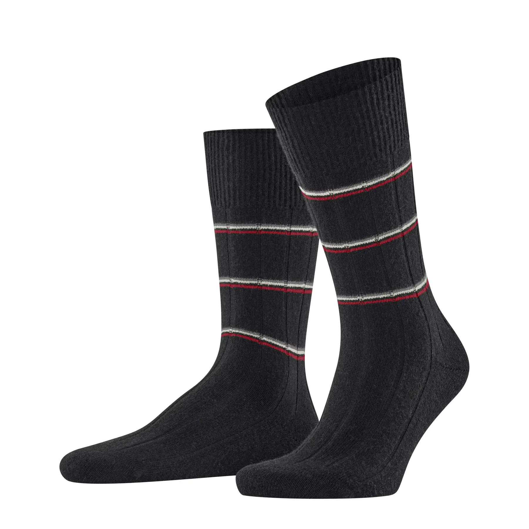 Chaussettes  Lhasa Rib Special Edition