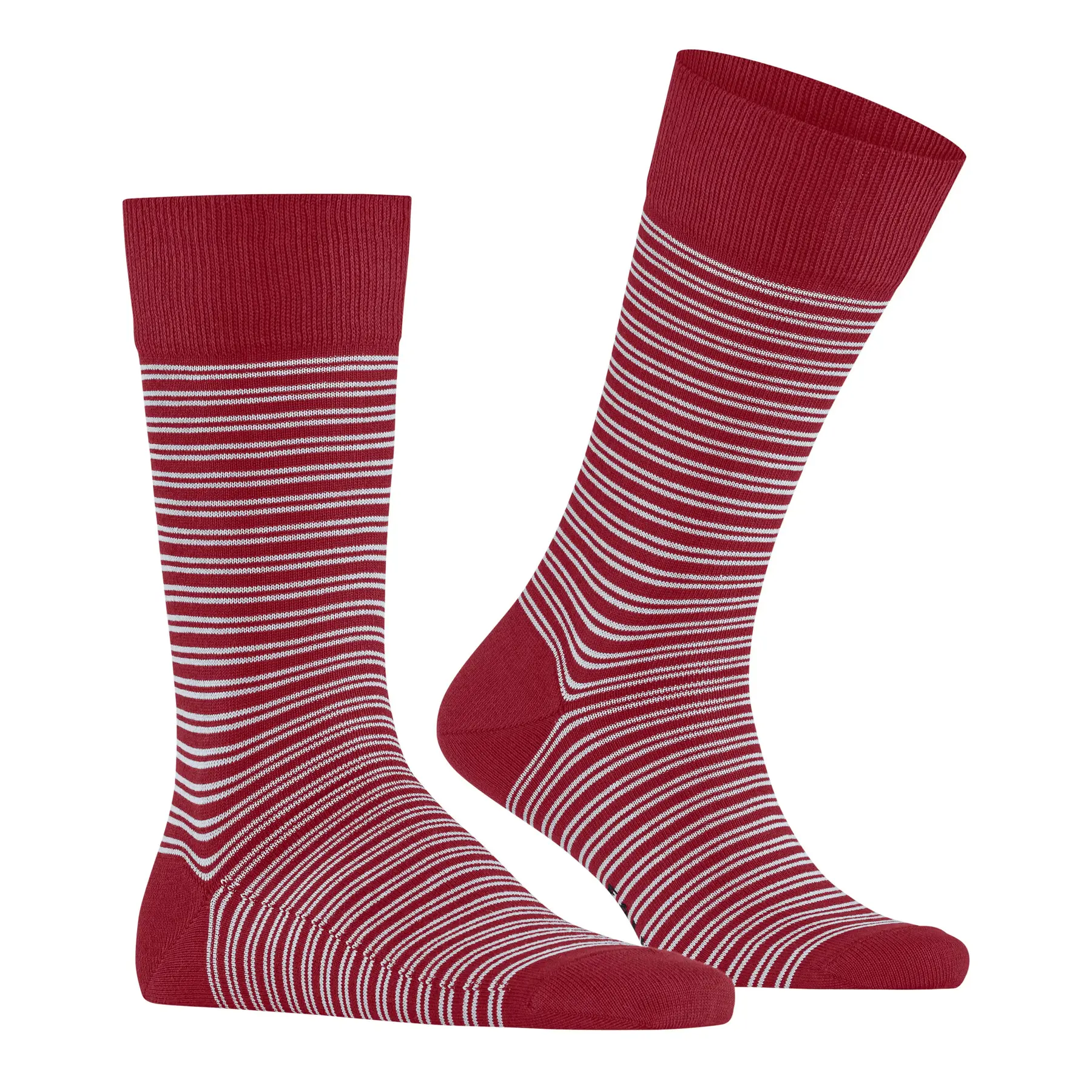 Chaussettes  Family Special Edition