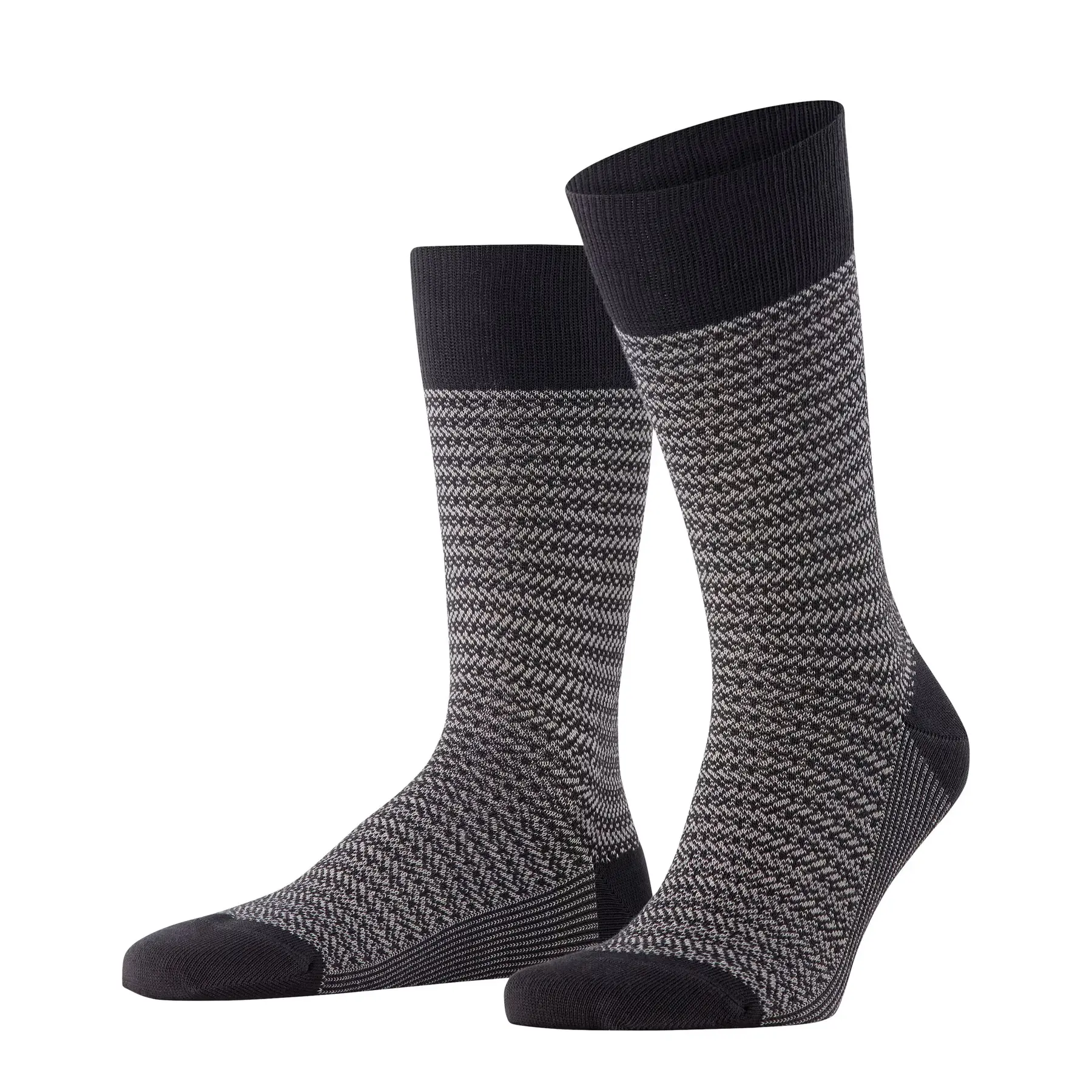 Chaussettes  Family Special Edition