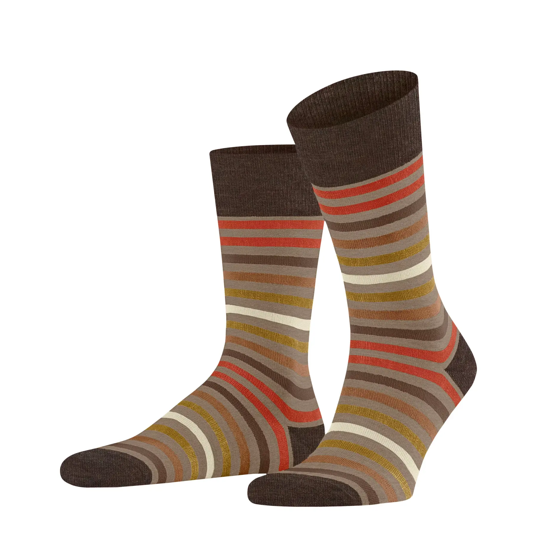 Chaussettes  Tinted Stripe