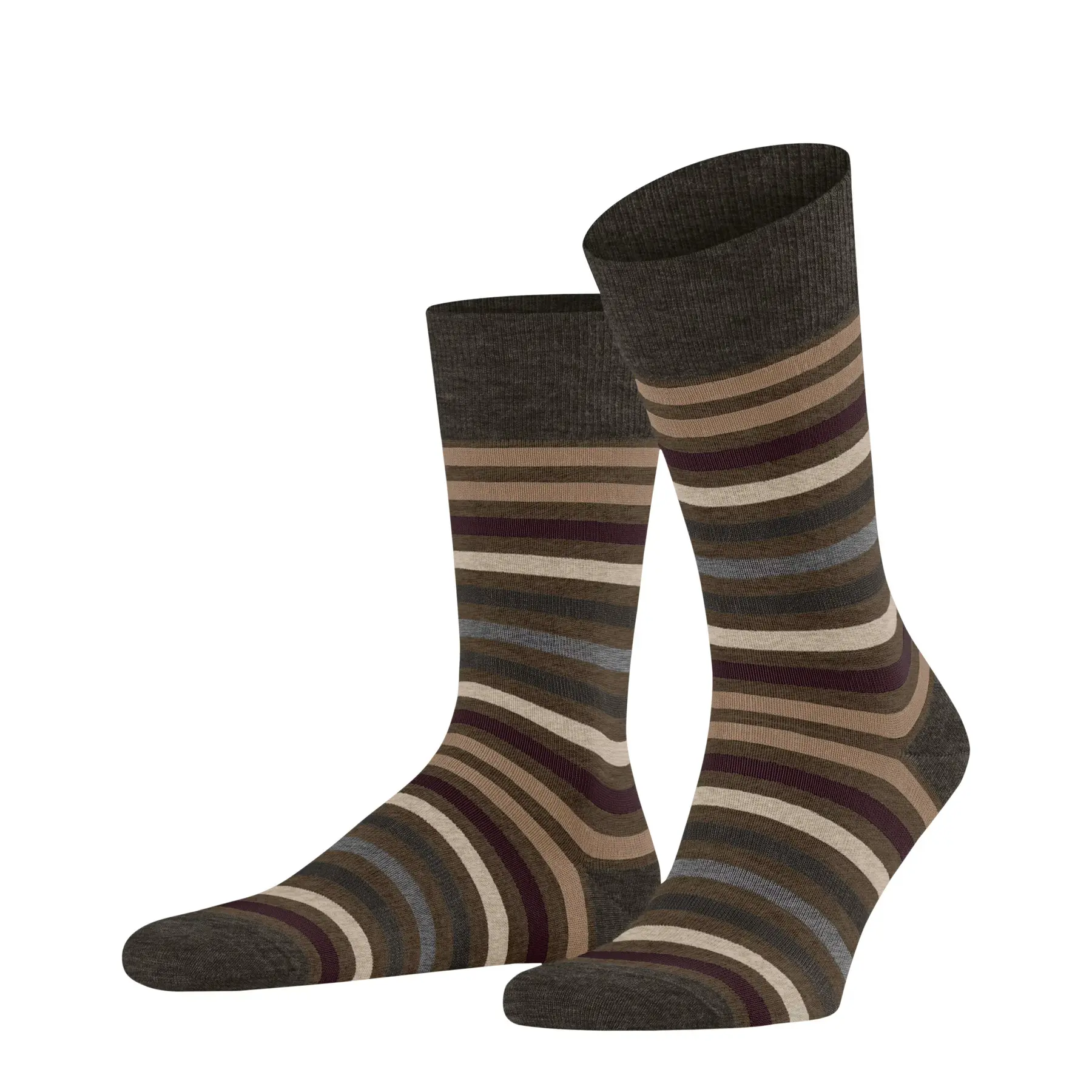 Chaussettes  Tinted Stripe