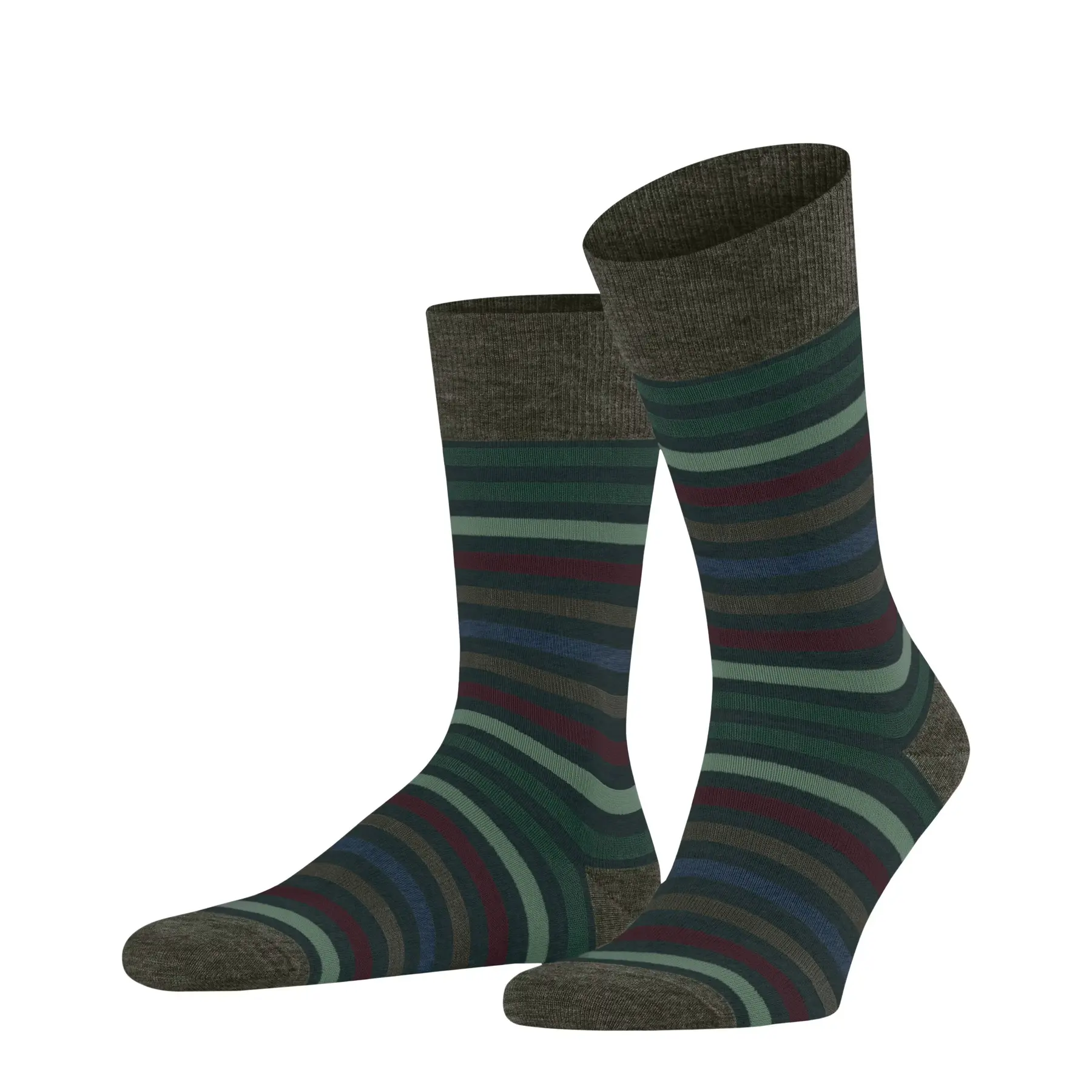 Chaussettes  Tinted Stripe
