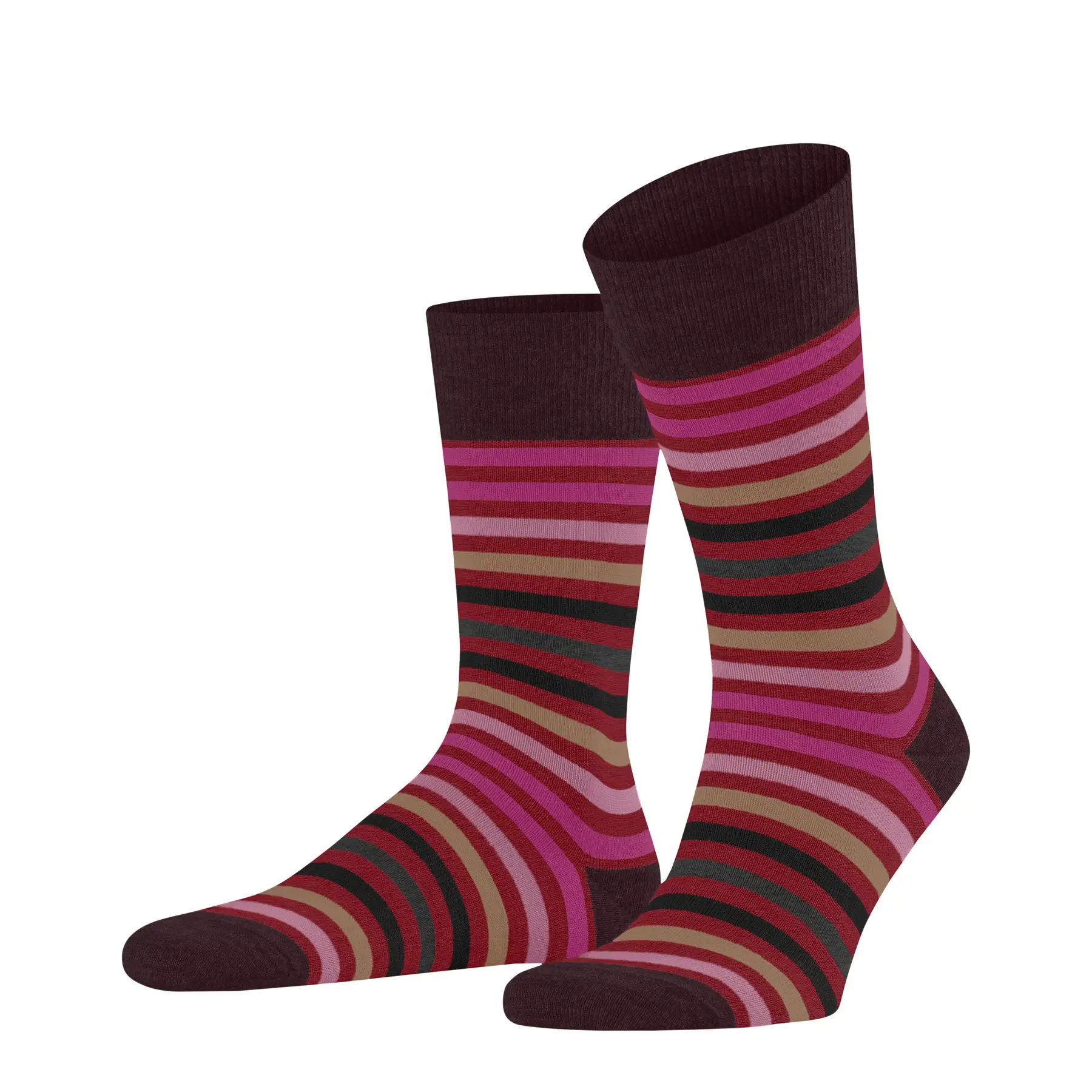 Chaussettes  Tinted Stripe