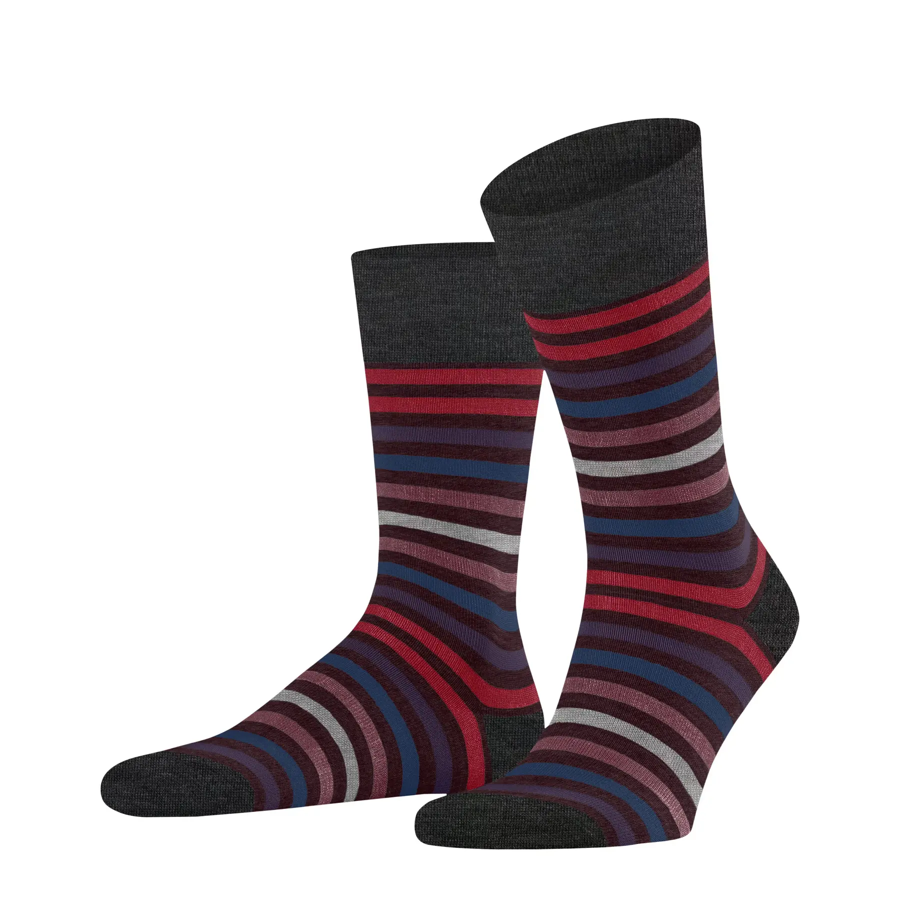 Chaussettes  Tinted Stripe