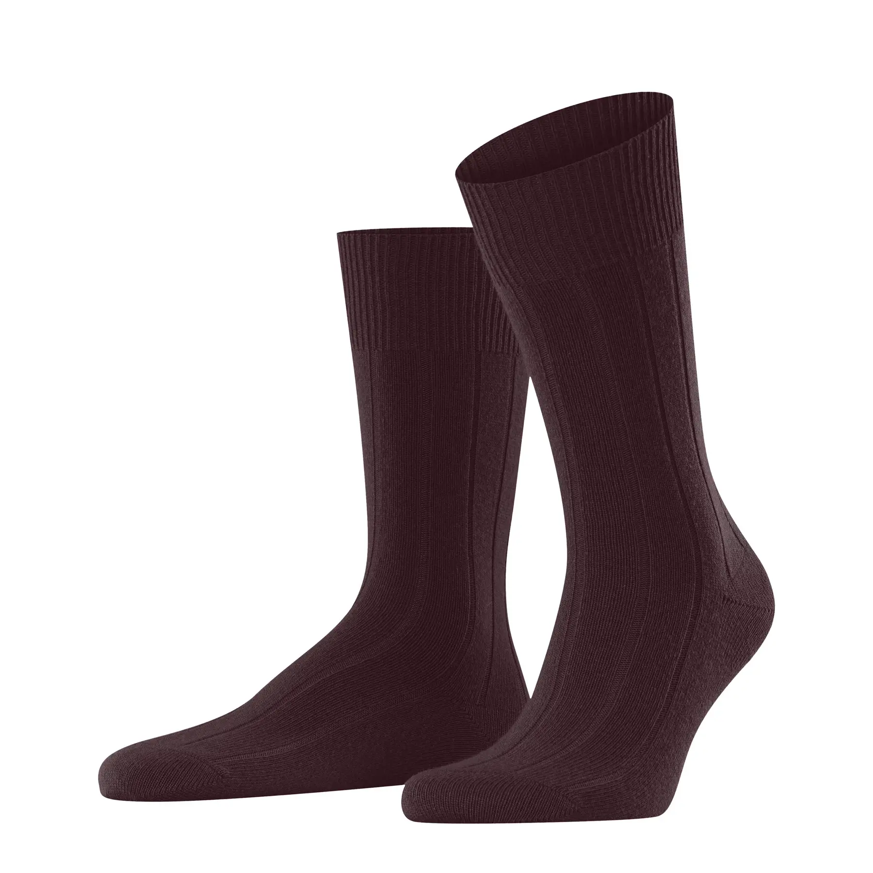 Chaussettes  Lhasa