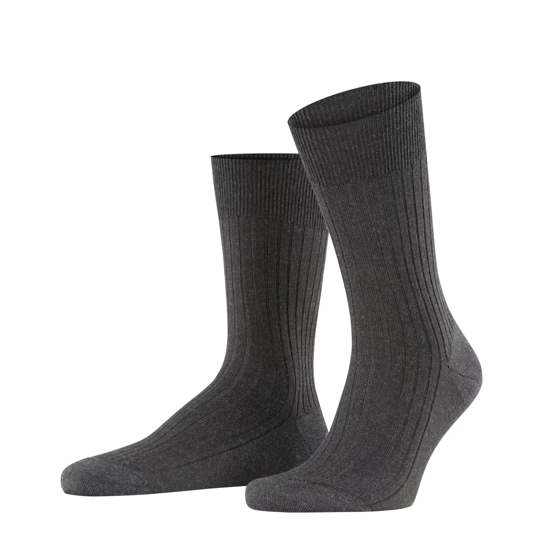 Chaussettes  Bristol Pure