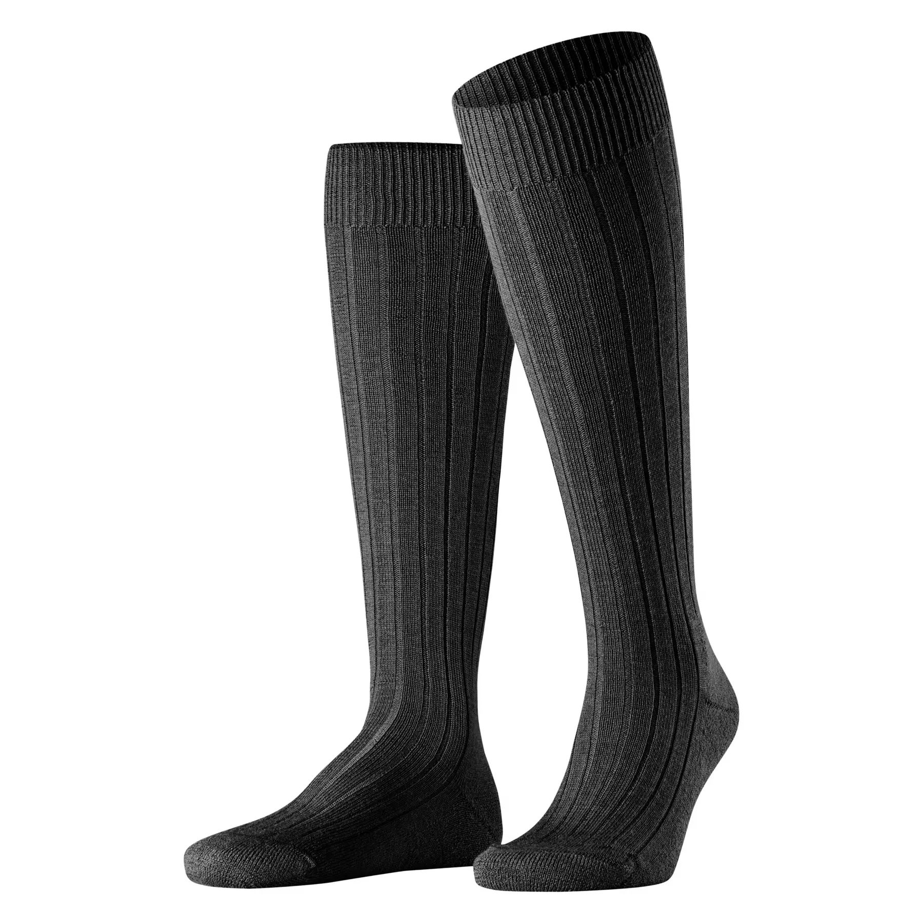 Kniestrümpfe Falke Teppich Im Schuh