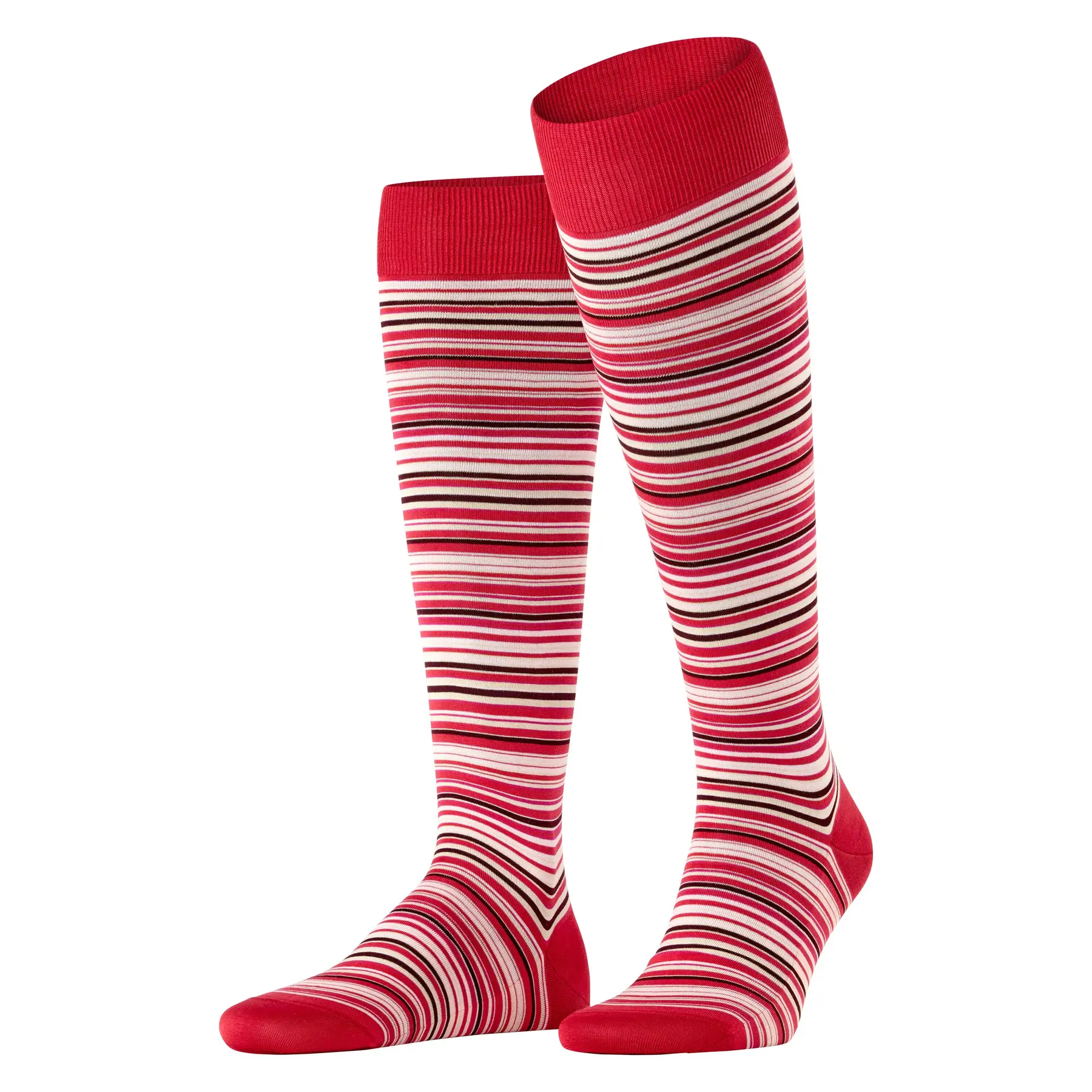 FALKE Microblock fijn elegant heldere kleuren katoen kniekousen heren rood - maat 39-40