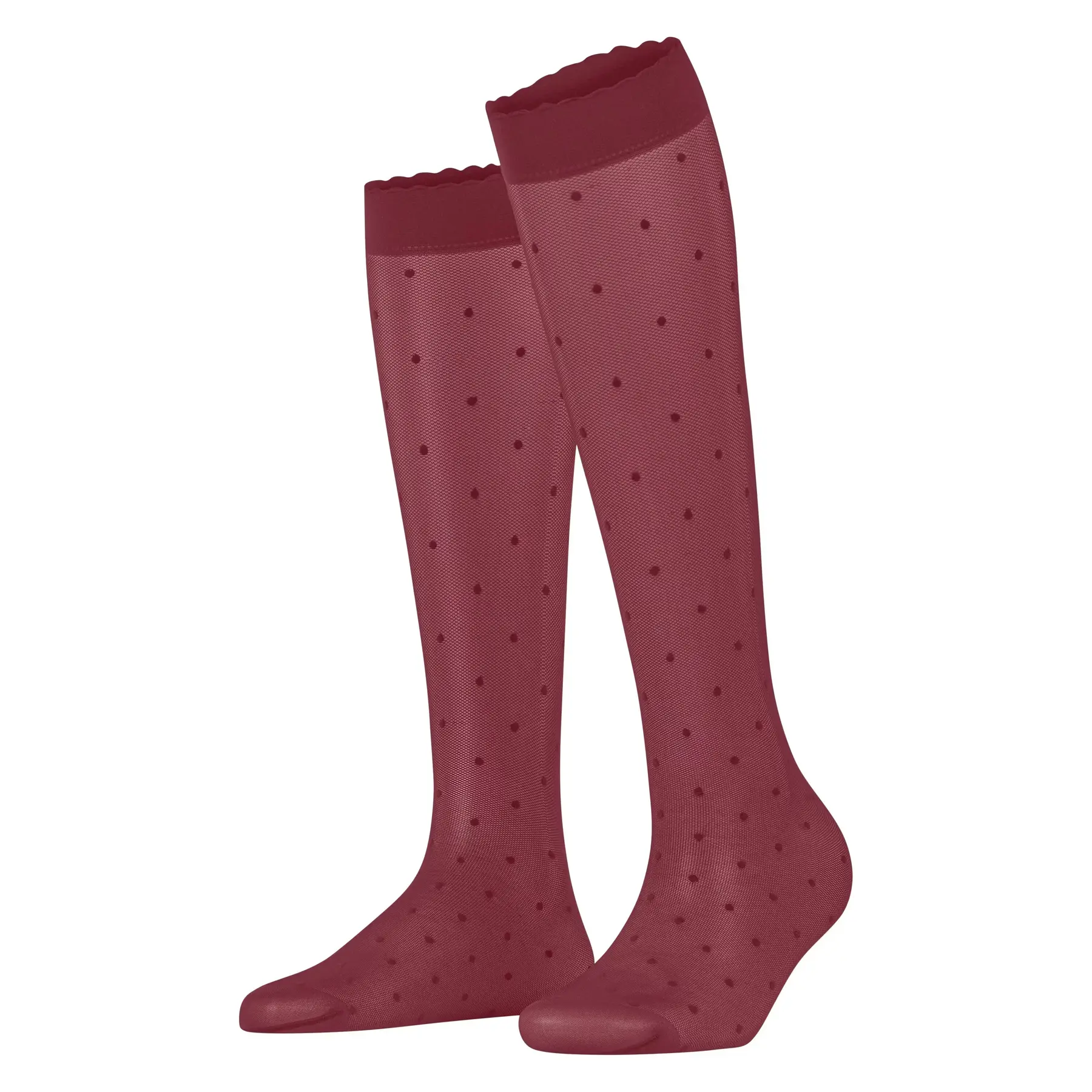 Women's Knee-high Socks Falke Dot