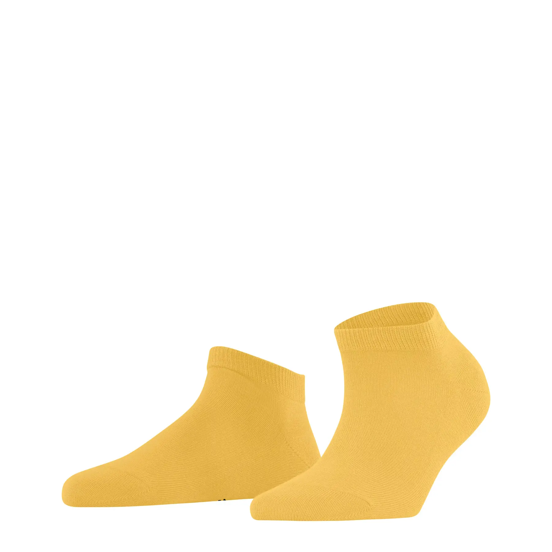 Women's Cotton Socks Falke Family
