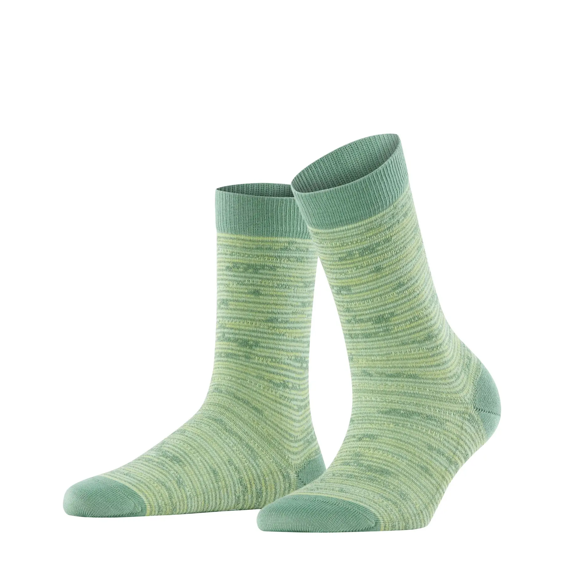 Calze da donna  Family Special Edition
