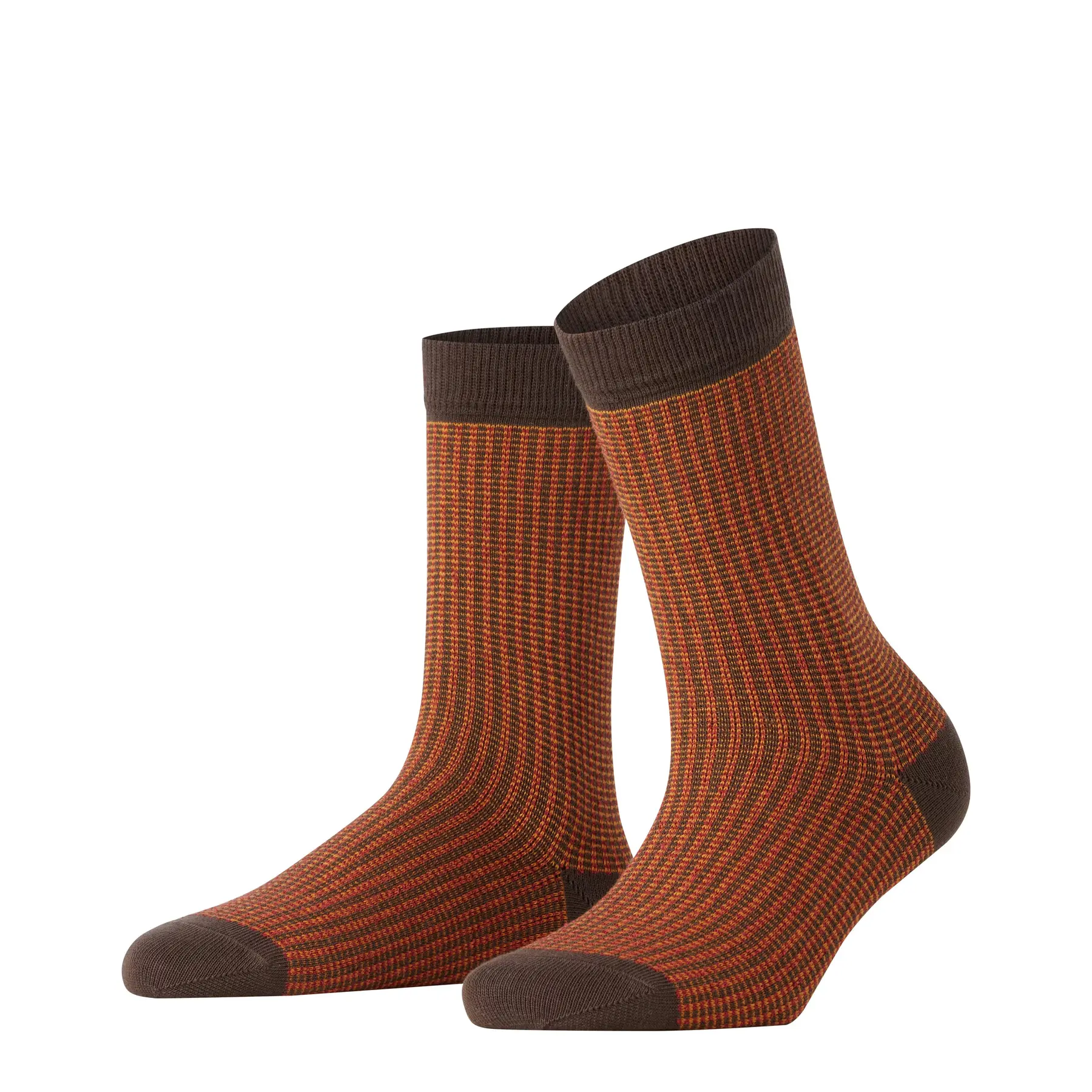 Calze da donna  Family Special Edition