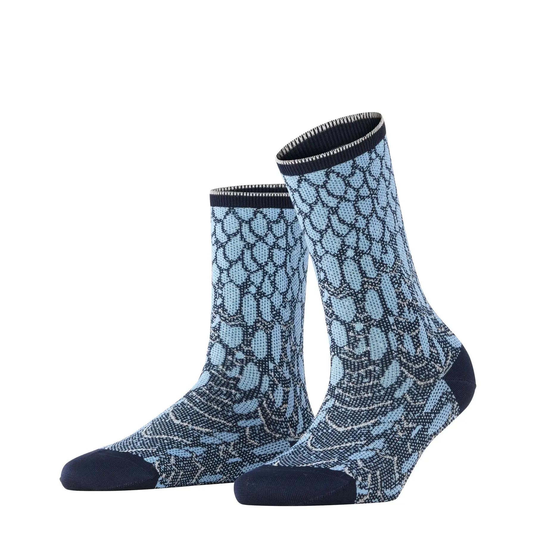 Calze da donna  Owl Rhapsody