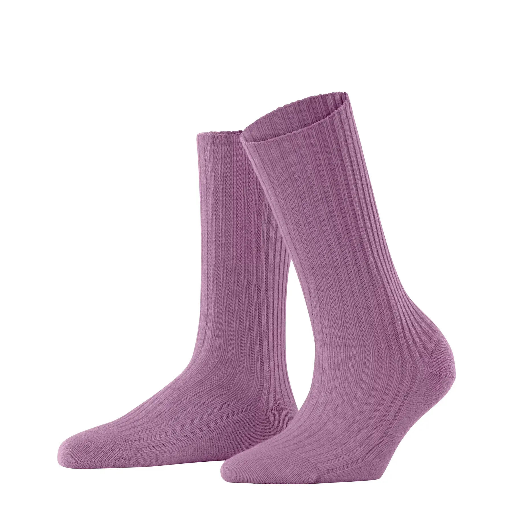 Calze da donna  Cosy