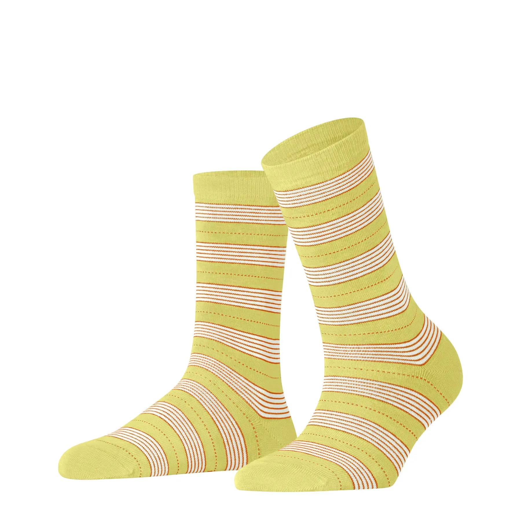 Calze da donna  Stripe Uniform
