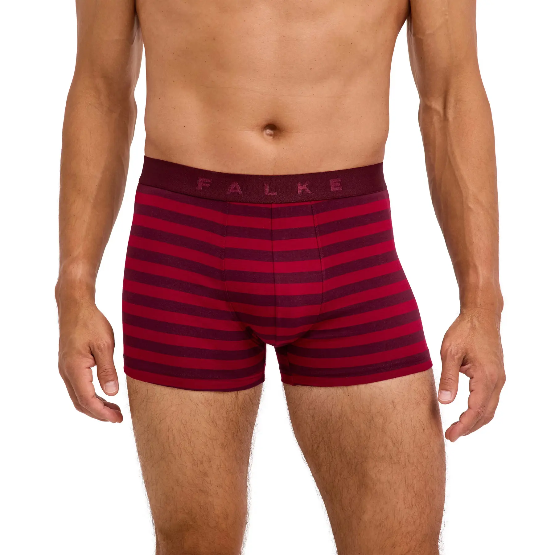 Boxer  Daily Comfort