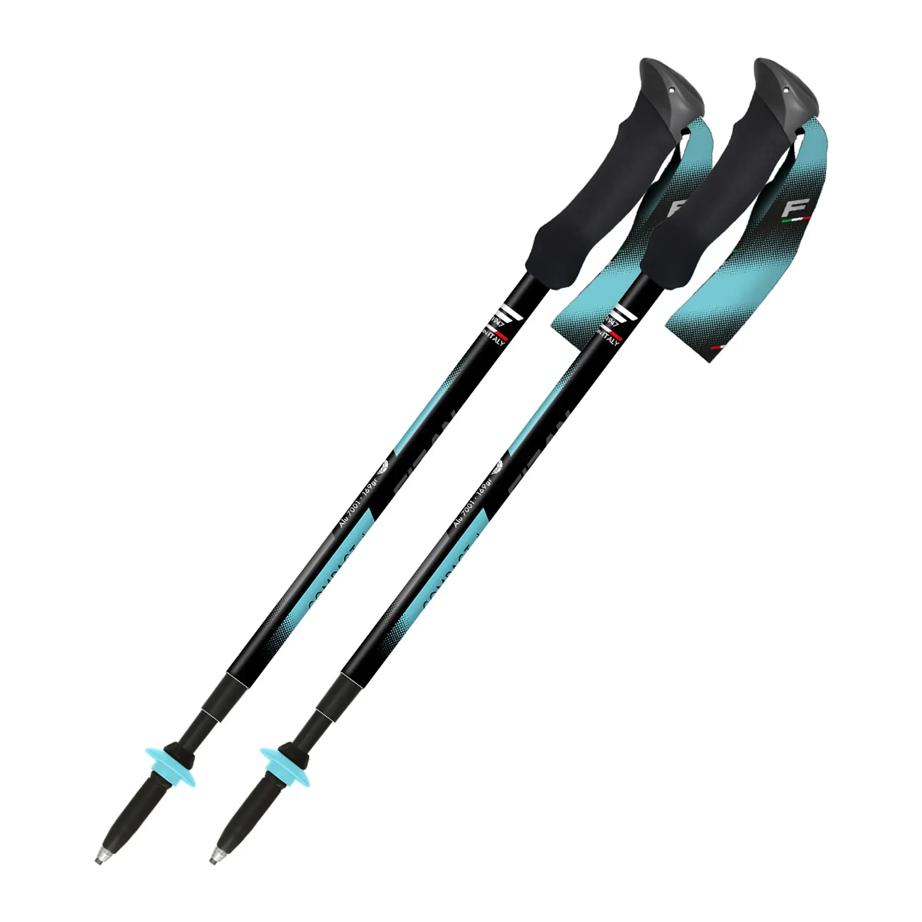 Wandelstokken Fizan Compact 4 Tech