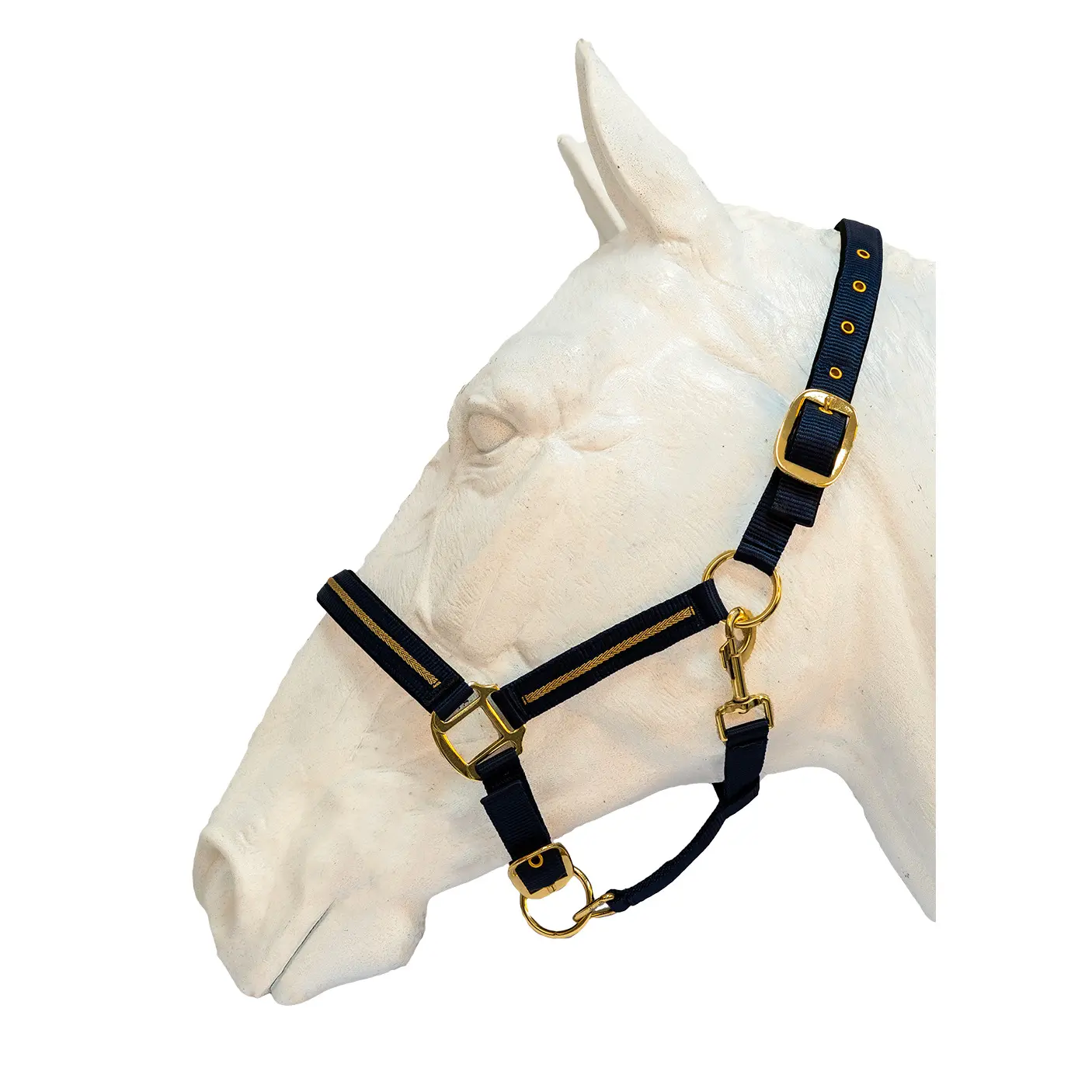 Ensemble licol et longe pour cheval Flags&Cup Nossy