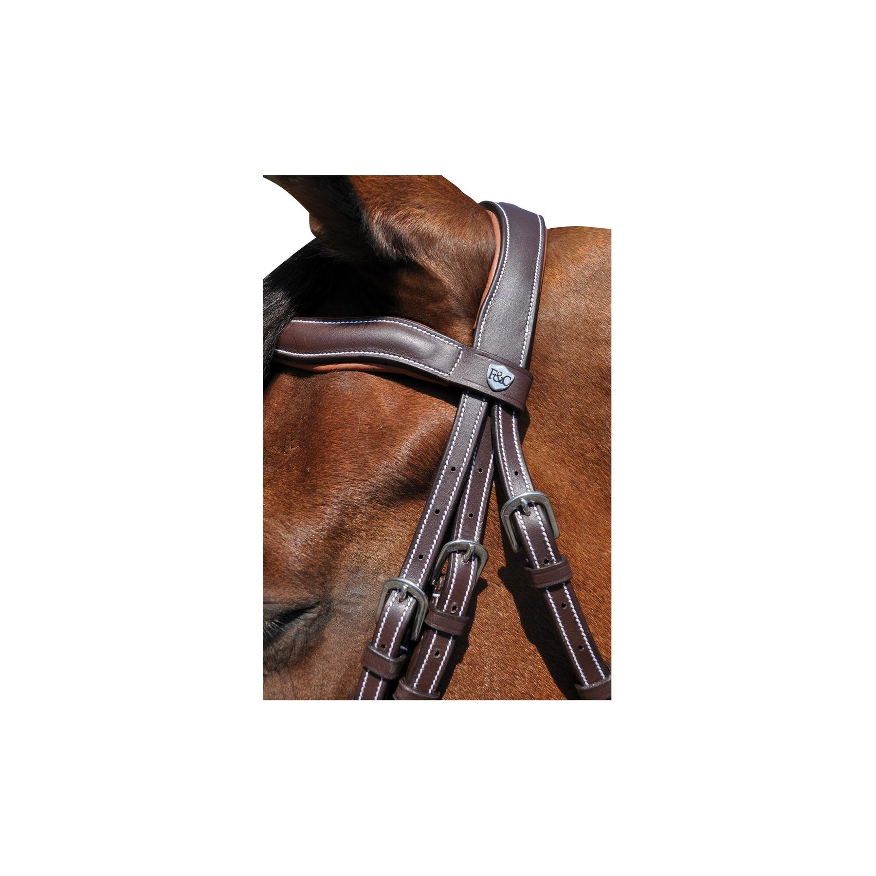 product/f/l/flags-cup_171105-marron_2.jpg