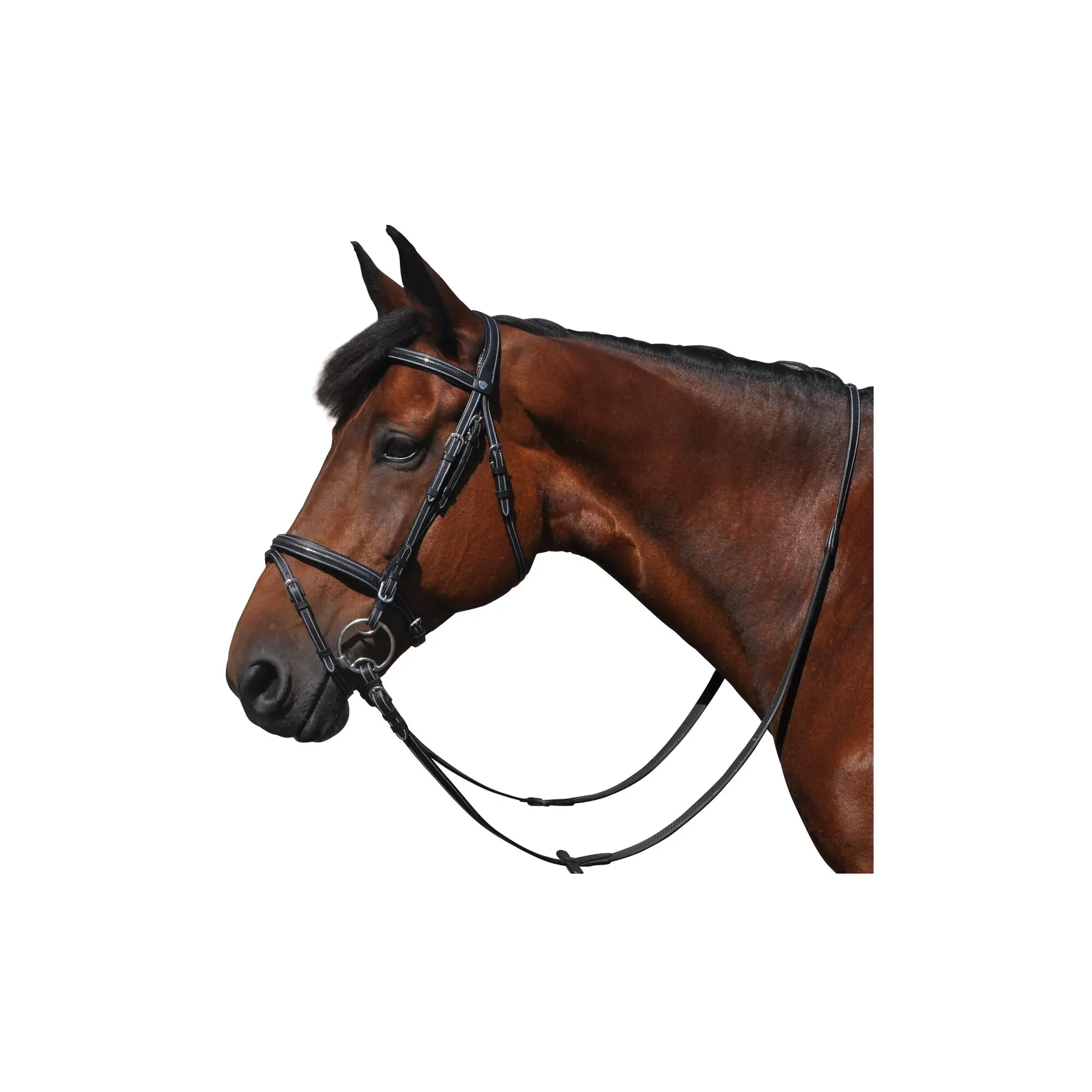 Bridons équitation Flags&Cup Helsinki