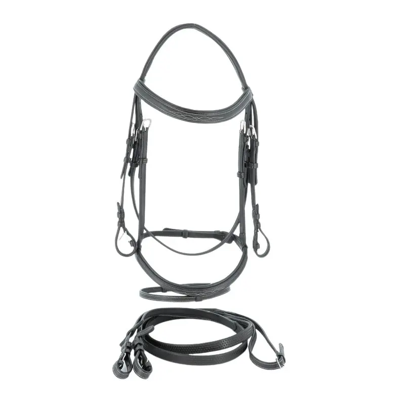 Bridons équitation Flags&Cup Wellington