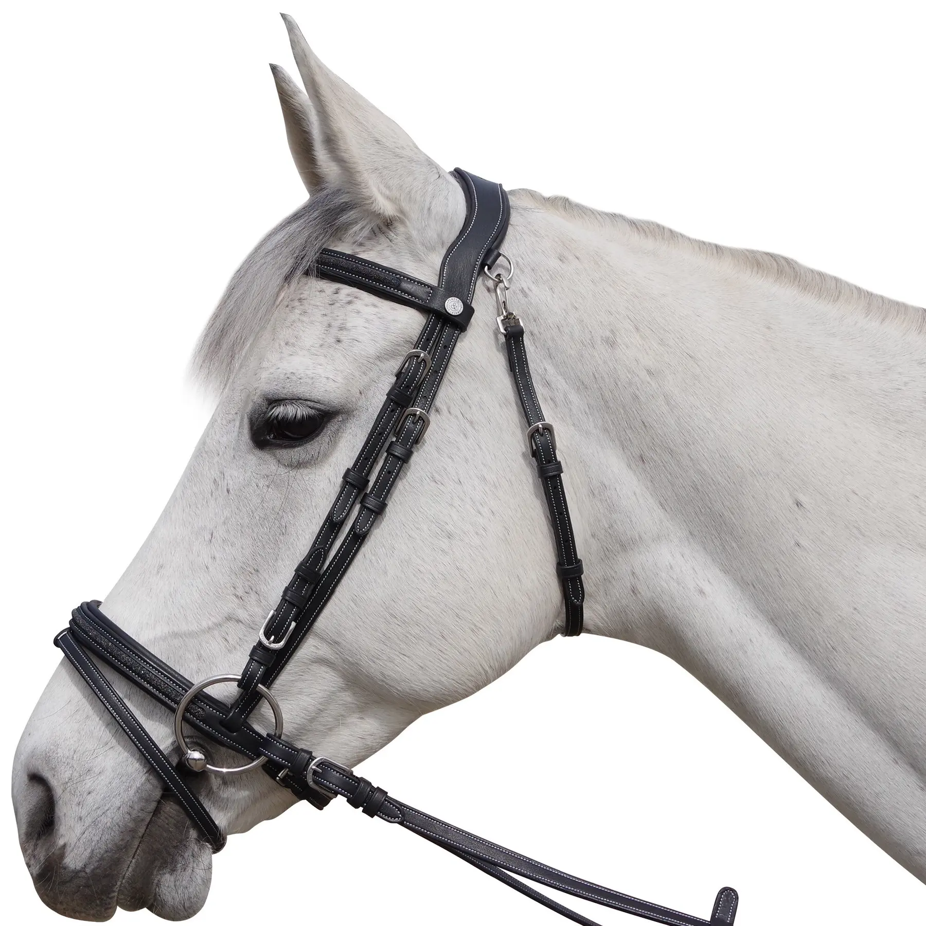 Bridons équitation pour cheval Flags&Cup Aachen