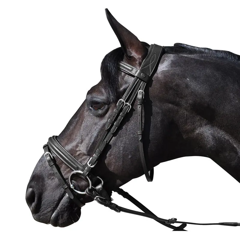 Bridons équitation Flags&Cup Hickstead