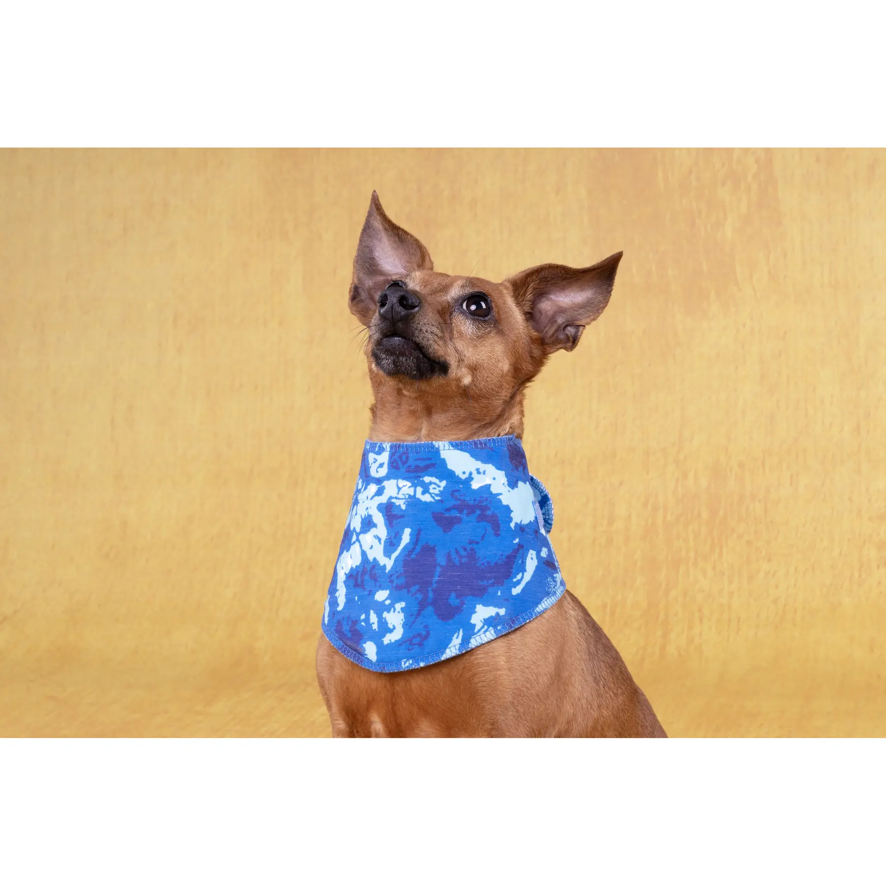 Comparer les prix de Bandana pour chien rafraîchissant Flamingo Fresk Vrio