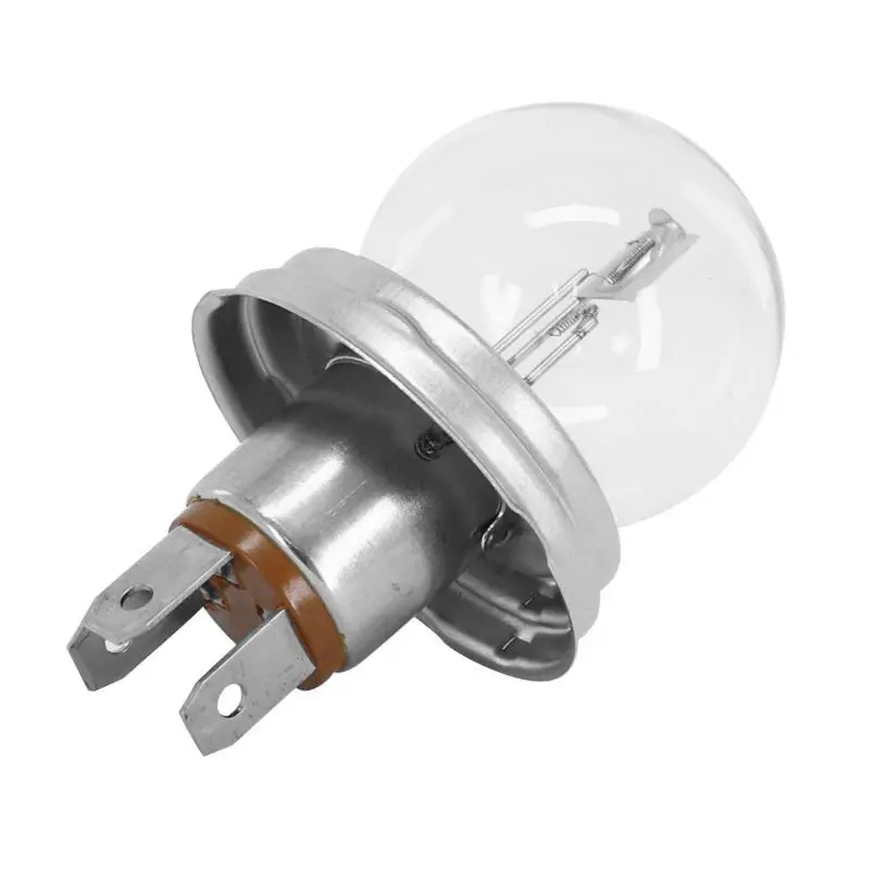 Glühbirne Flosser Culot P45t Bulb R2