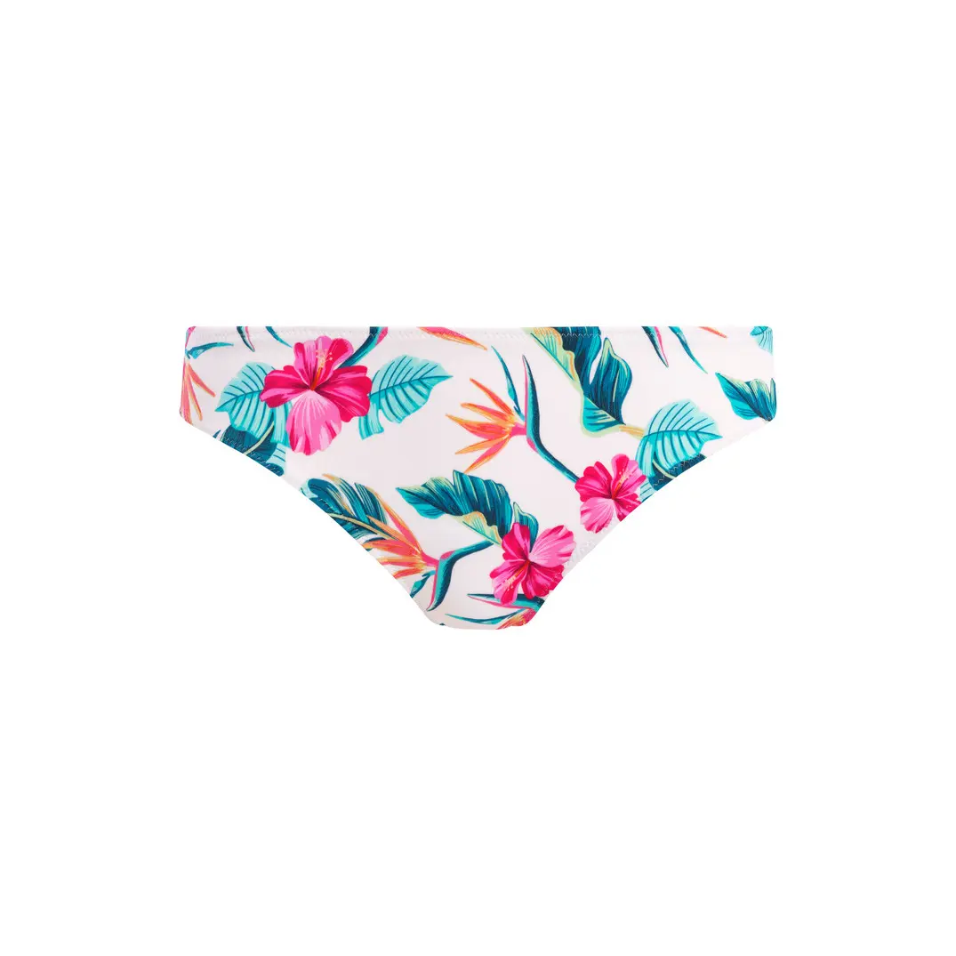 0193773111308 - Damen-Bikinihose Palm paradise