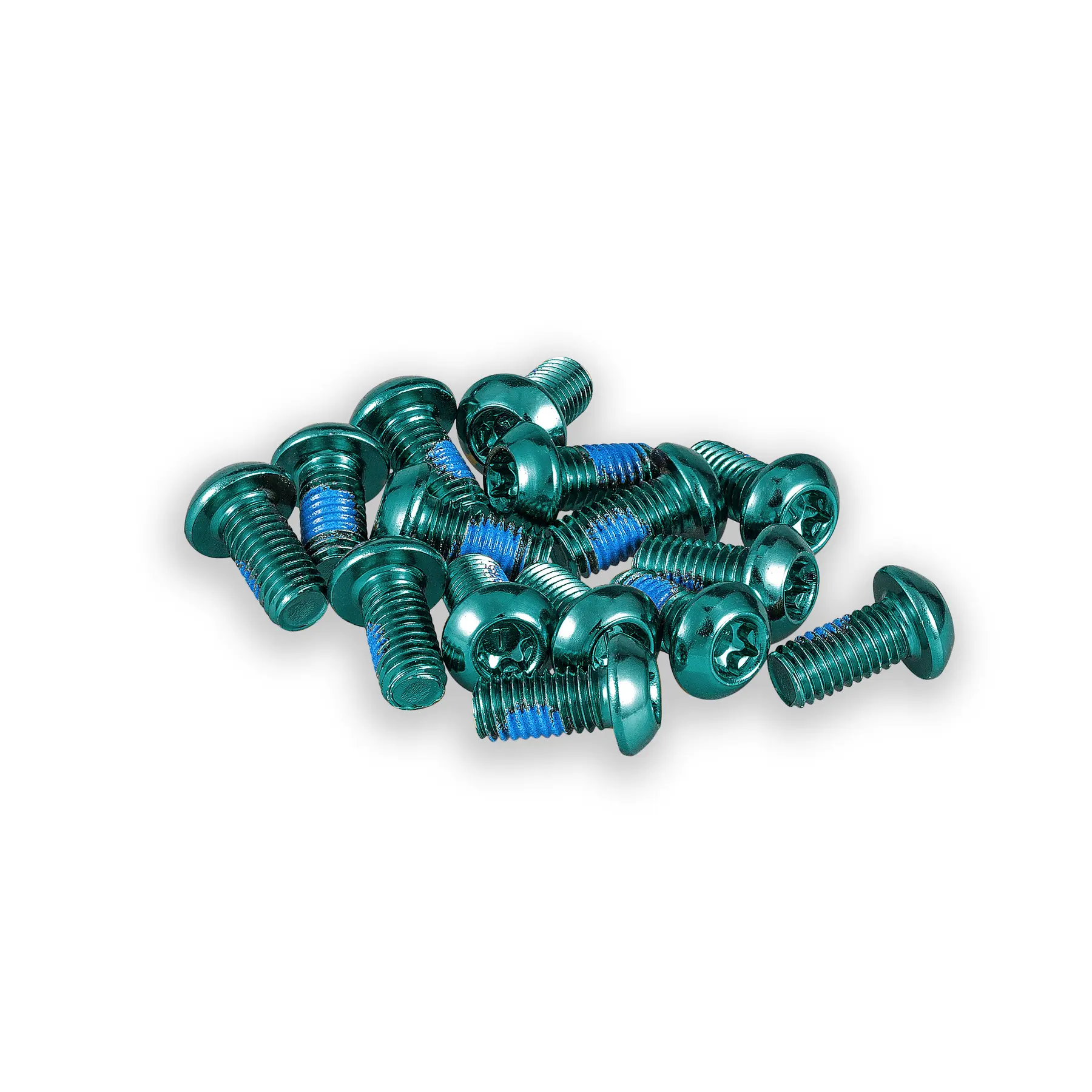 Vite del disco freno Funn Torx T25 (x15)