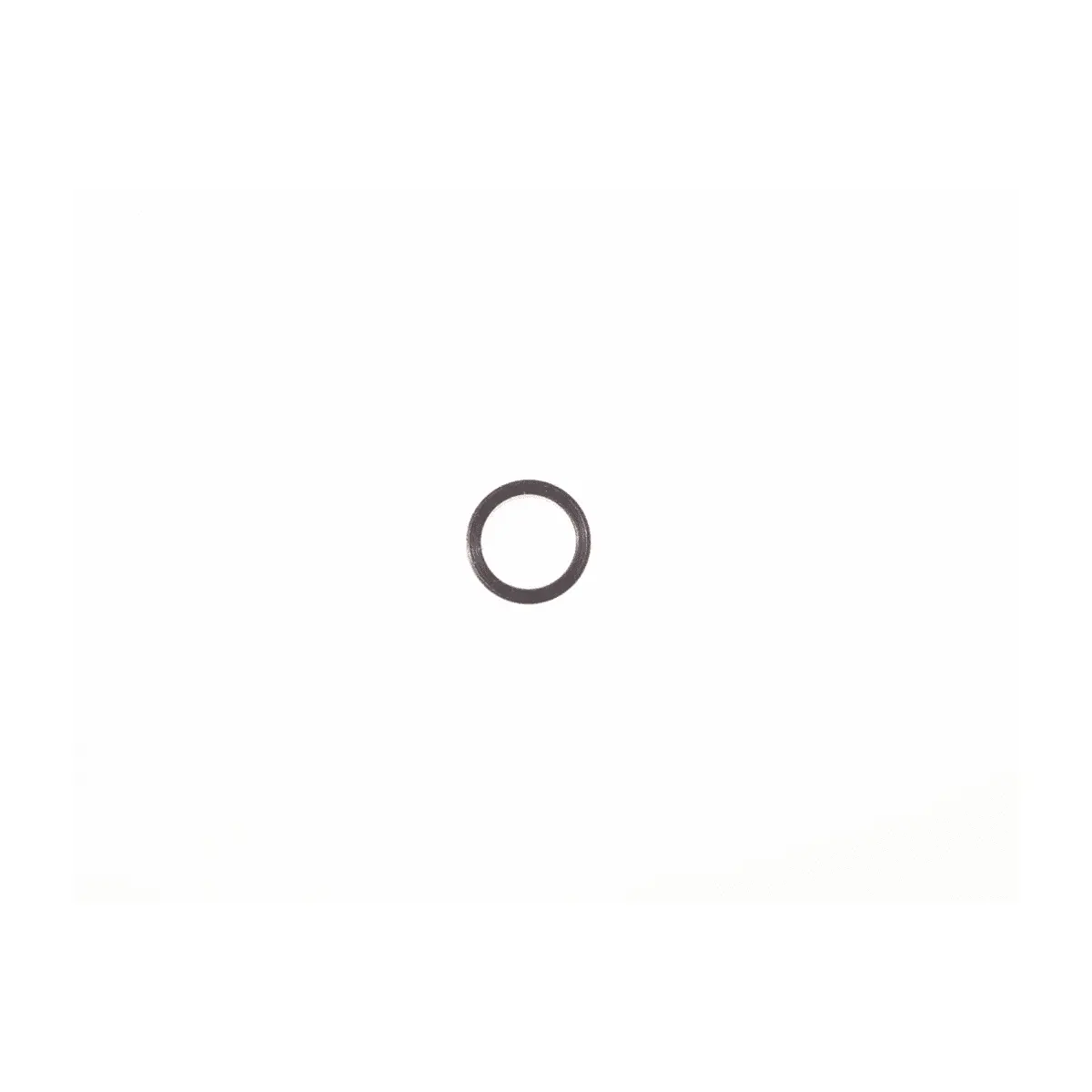 Image of Ring Garmin Spacer Ring Type 1
