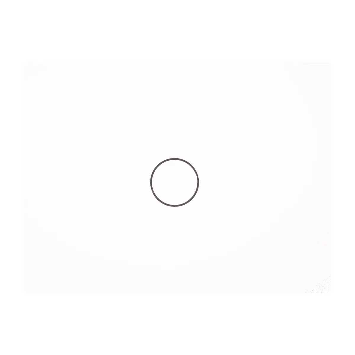 Image of Ring Garmin Spacer Ring Type 2
