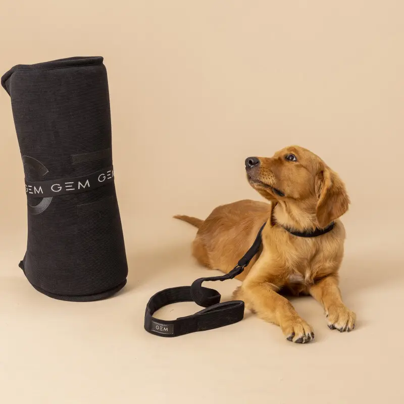 Meilleurs prix pour Tapis pour chien GEM