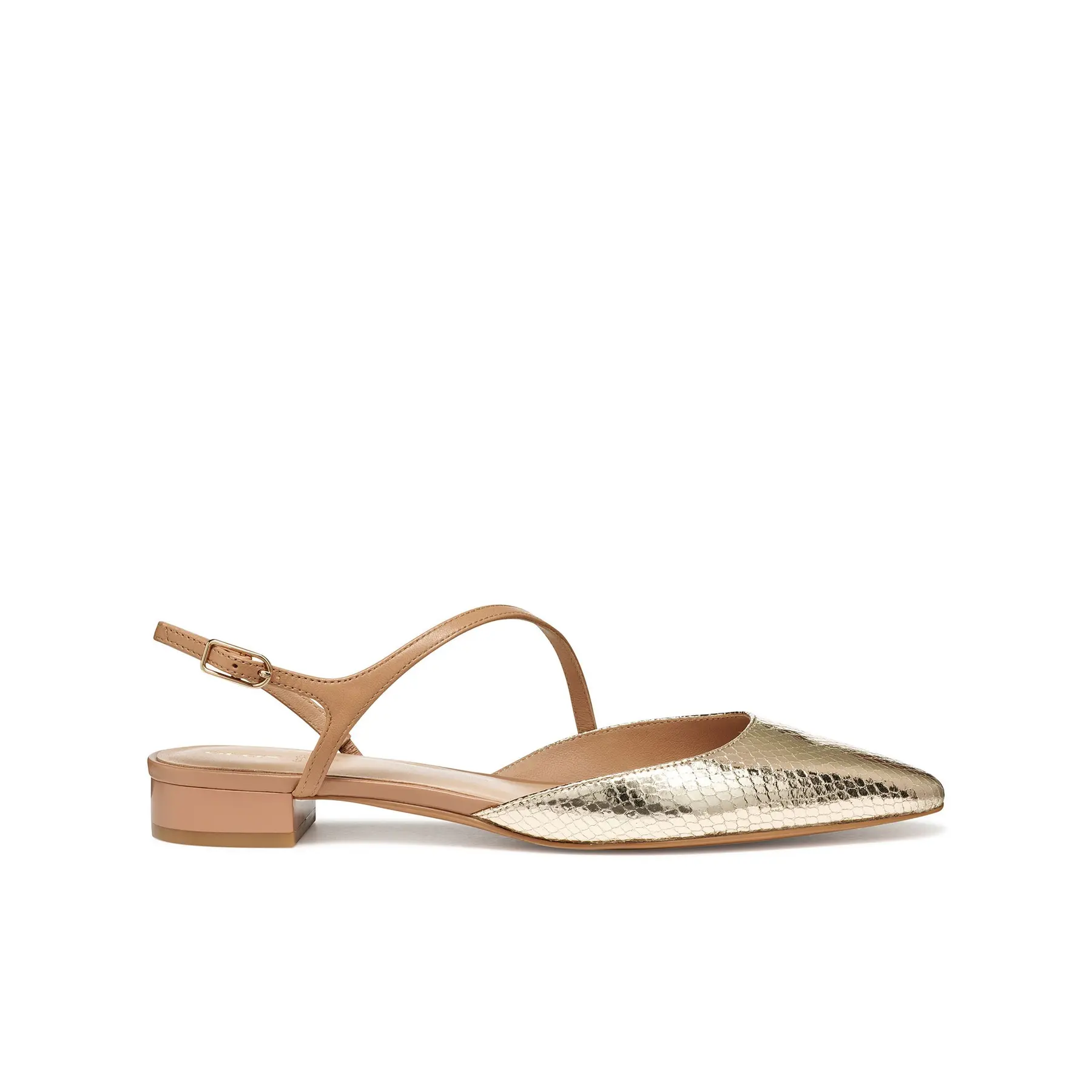 Ballerine da donna  Giselda 15
