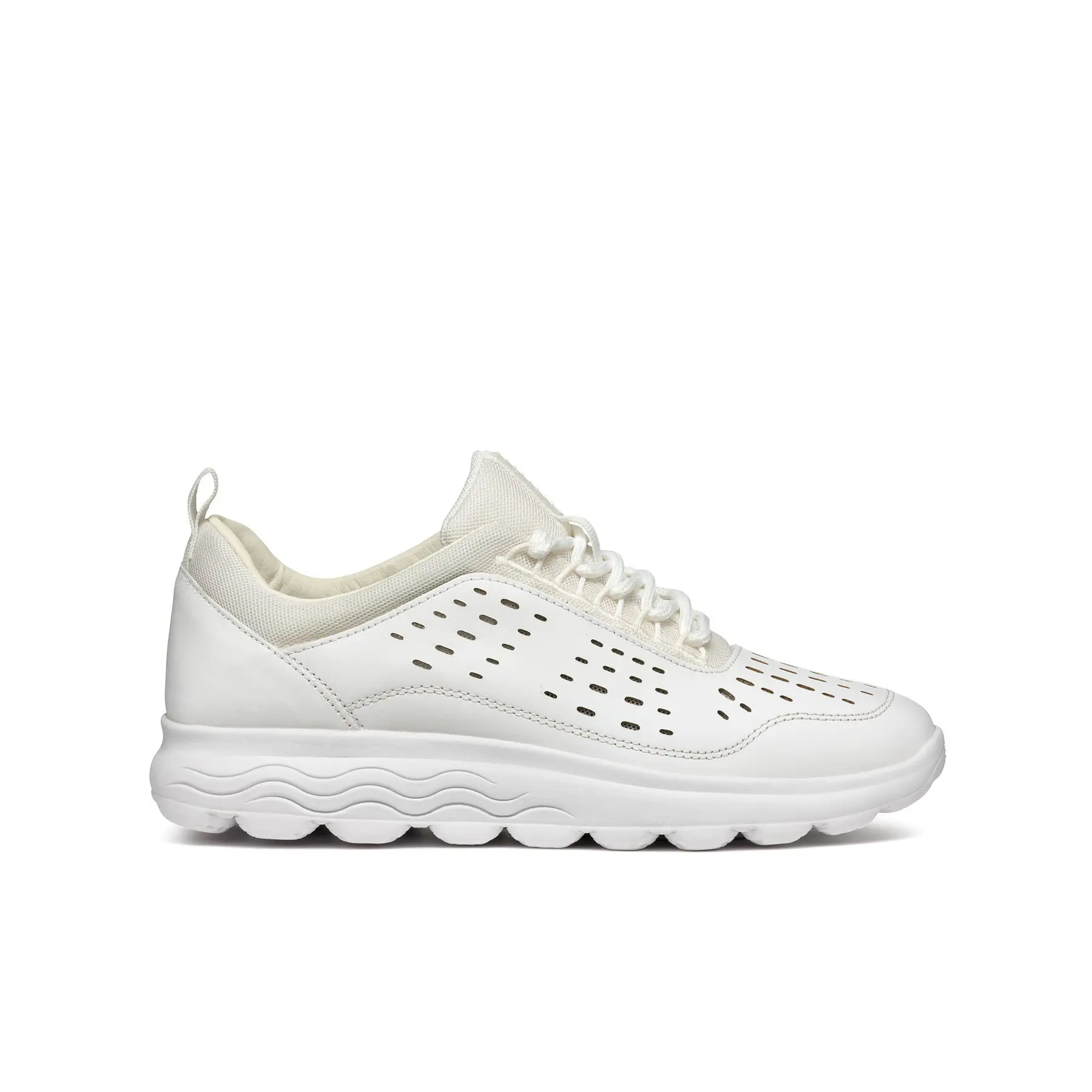 8056206542143 - Sneakers Spherica