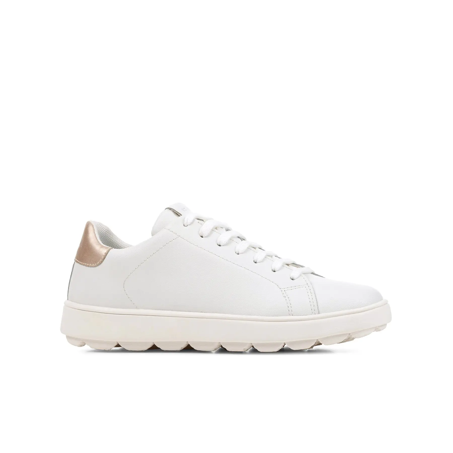 Sneakers Geox Spherica Ecub