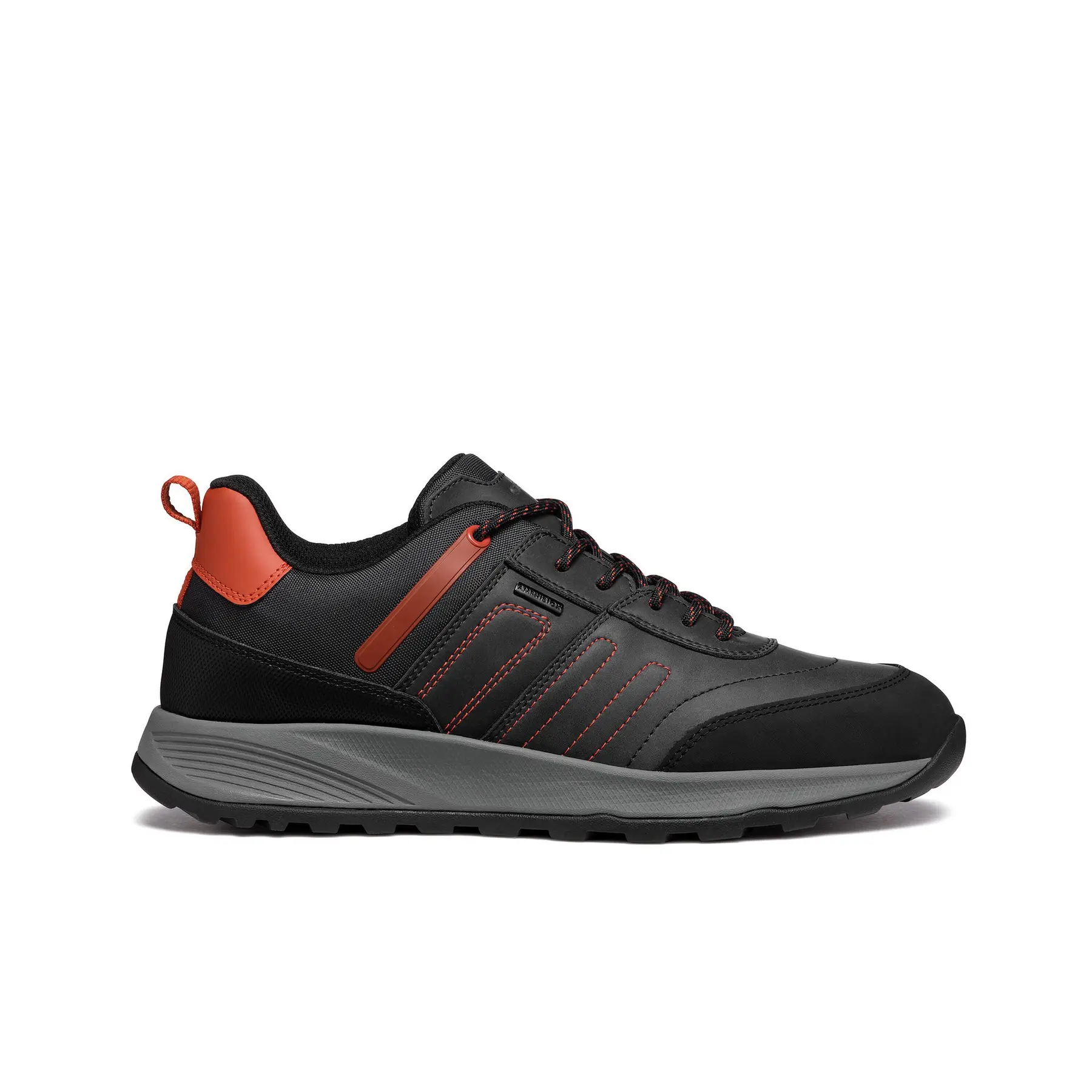 8058192004919 - Sneakers Terrestre