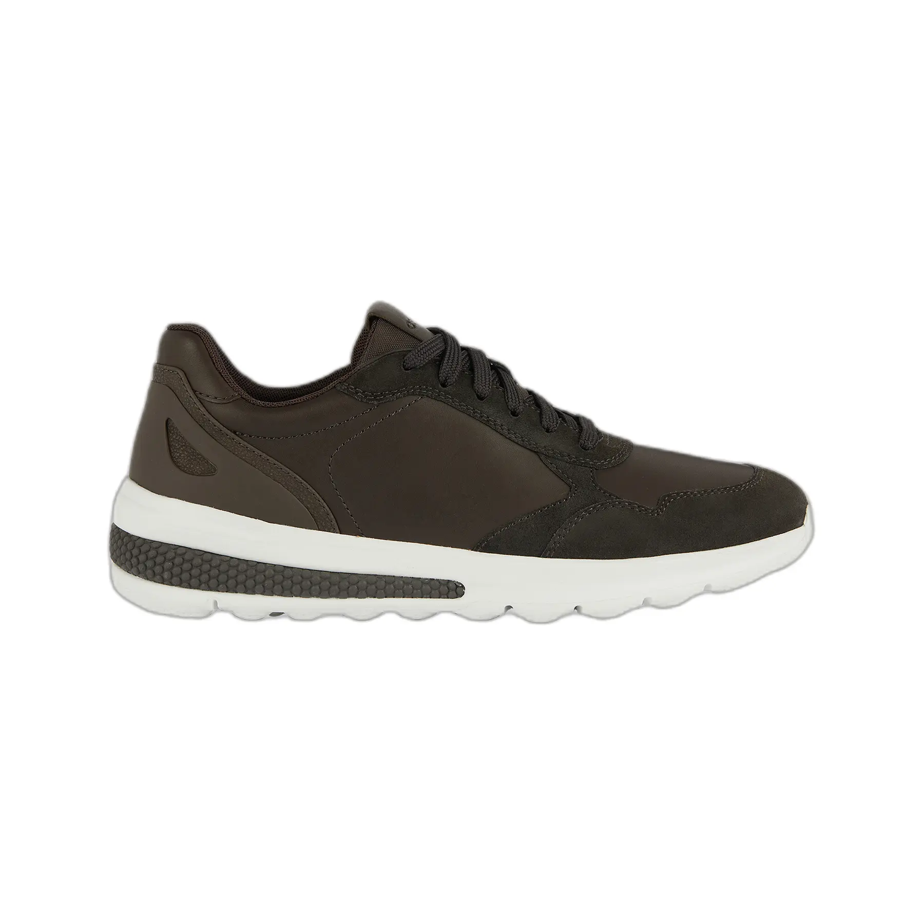 8056206817296 - Sneakers Spherica