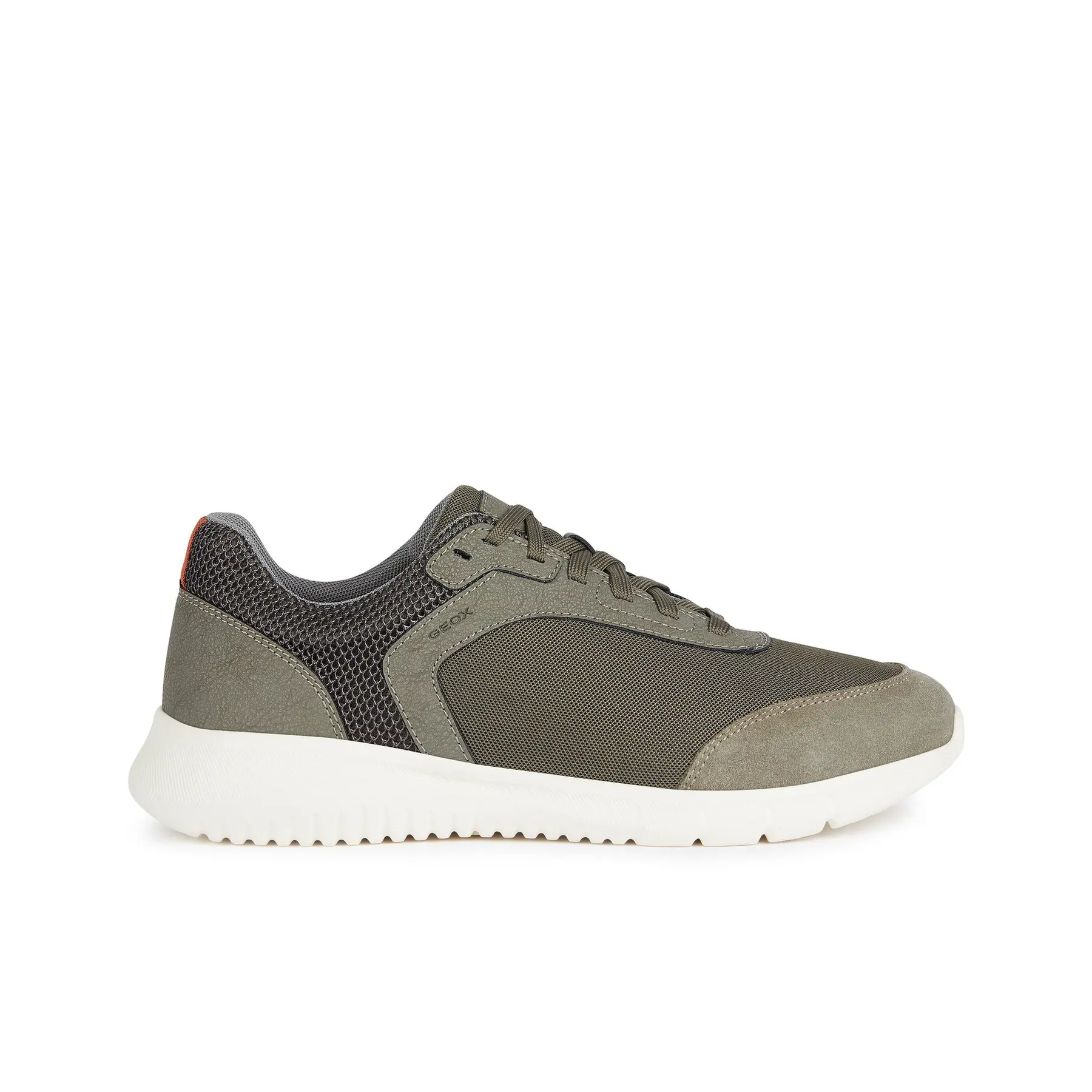 8056206632455 - Sneakers Monreale