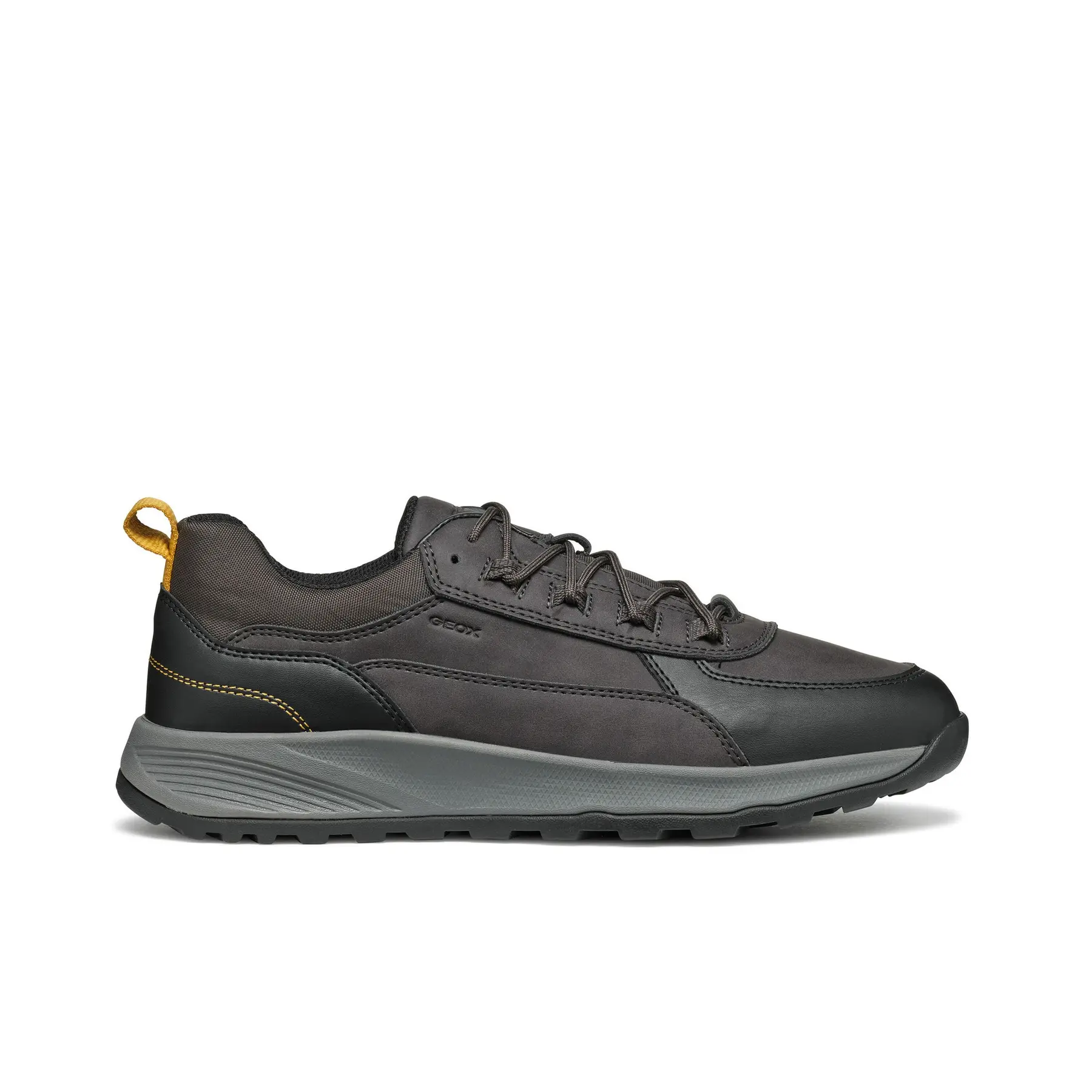8056206838581 - Sneakers Terrestre