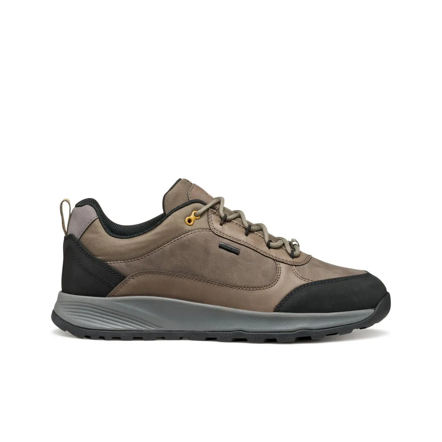 8058192447792 - Sneakers Terrestre B Abx