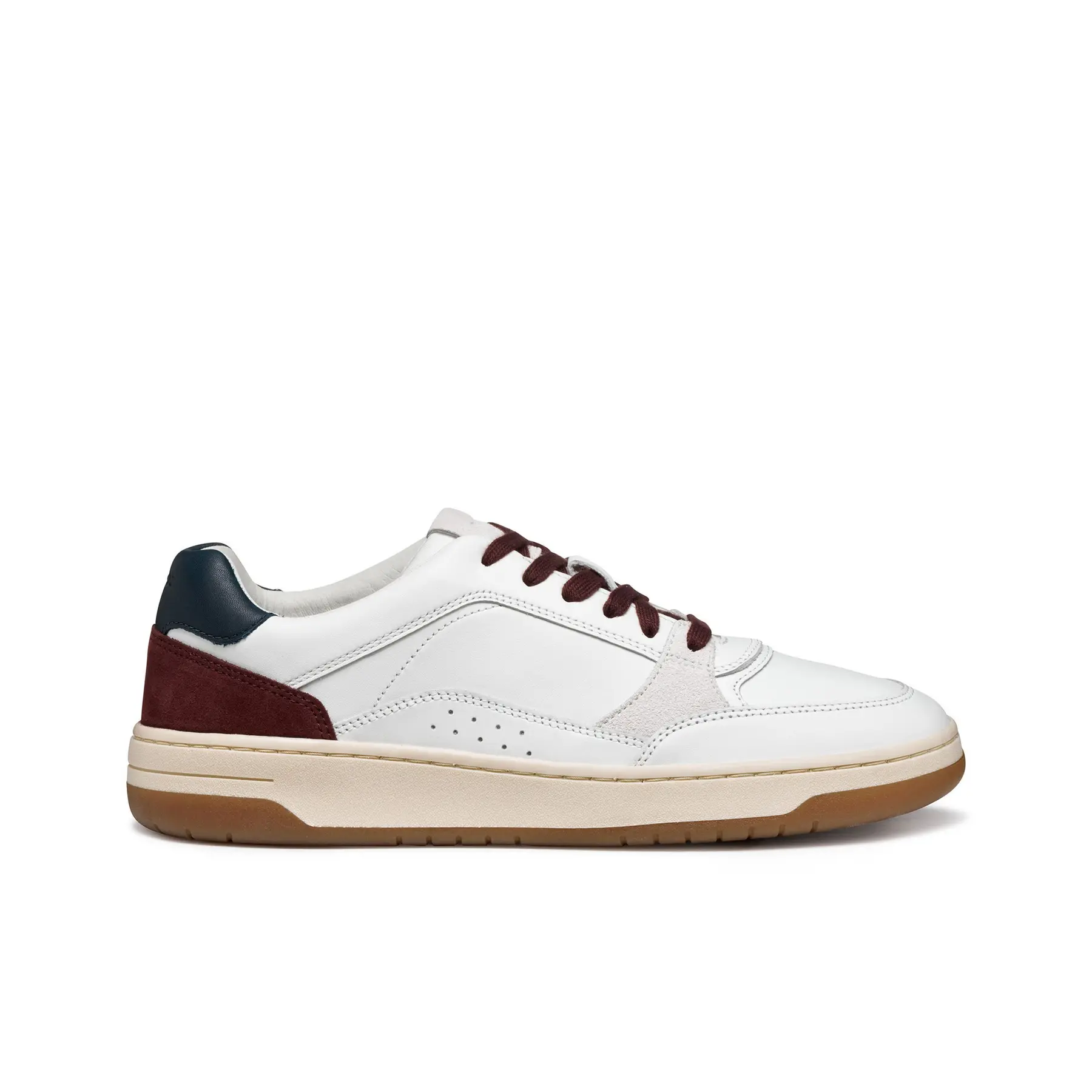 8058192544934 - Sneakers Sedral Court