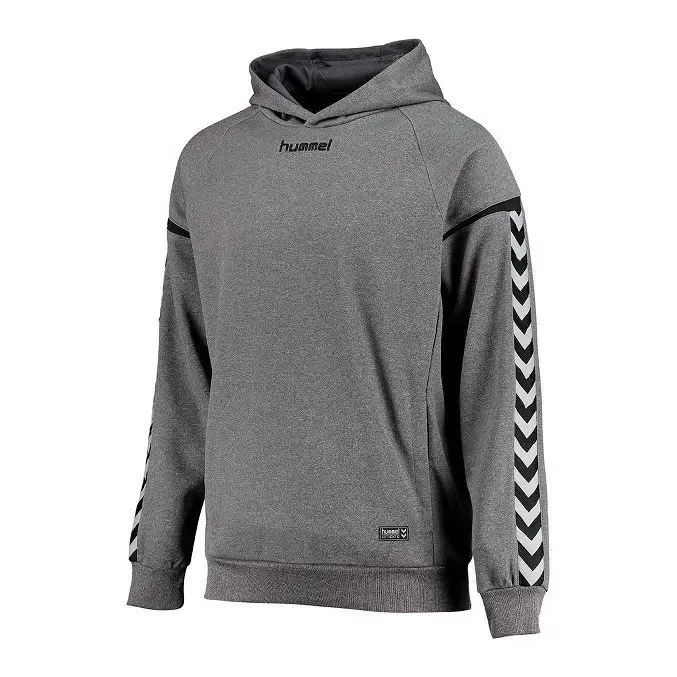 Sweat à capuche poly Hummel hmlAUTHENTIC Charge