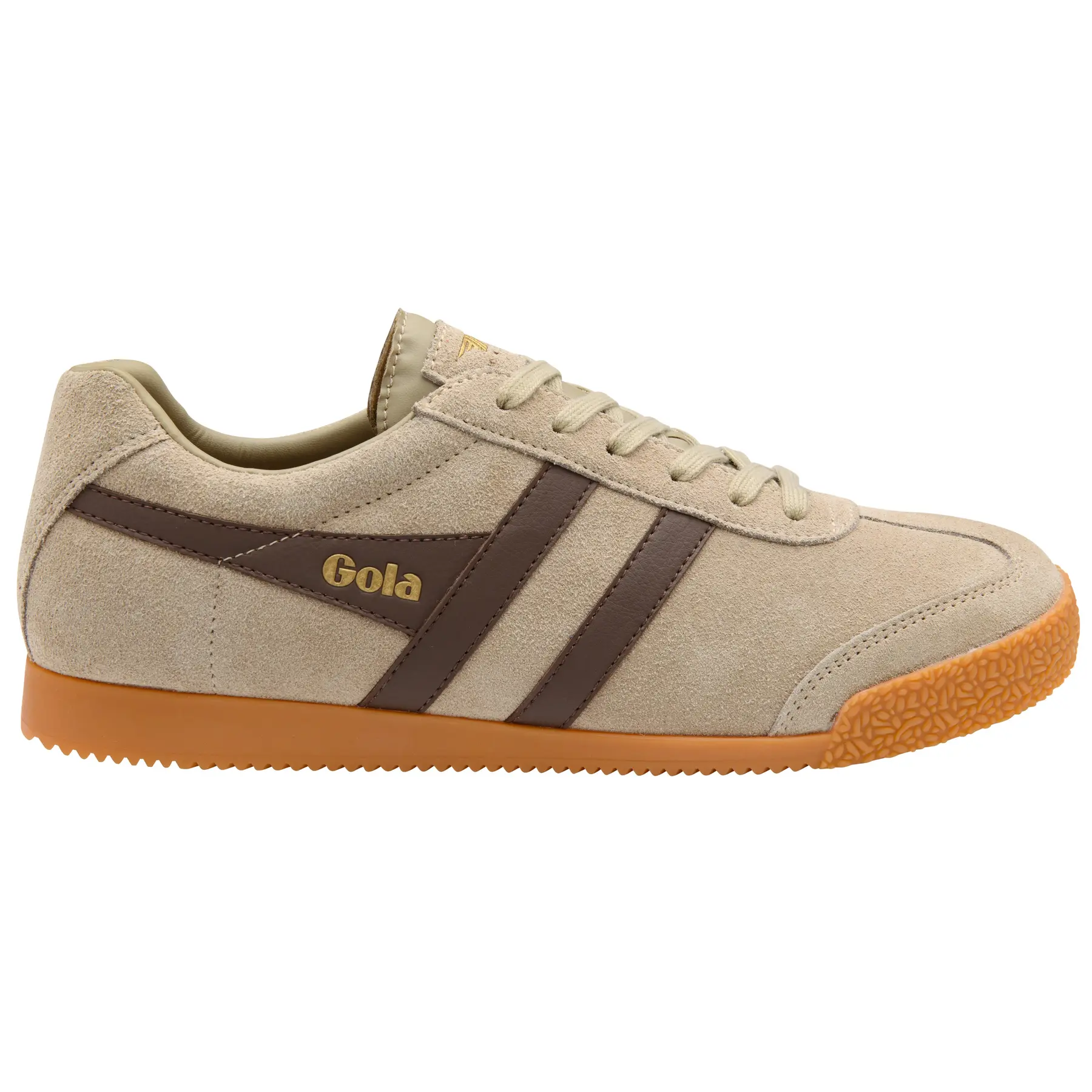 Baskets Gola Harrier